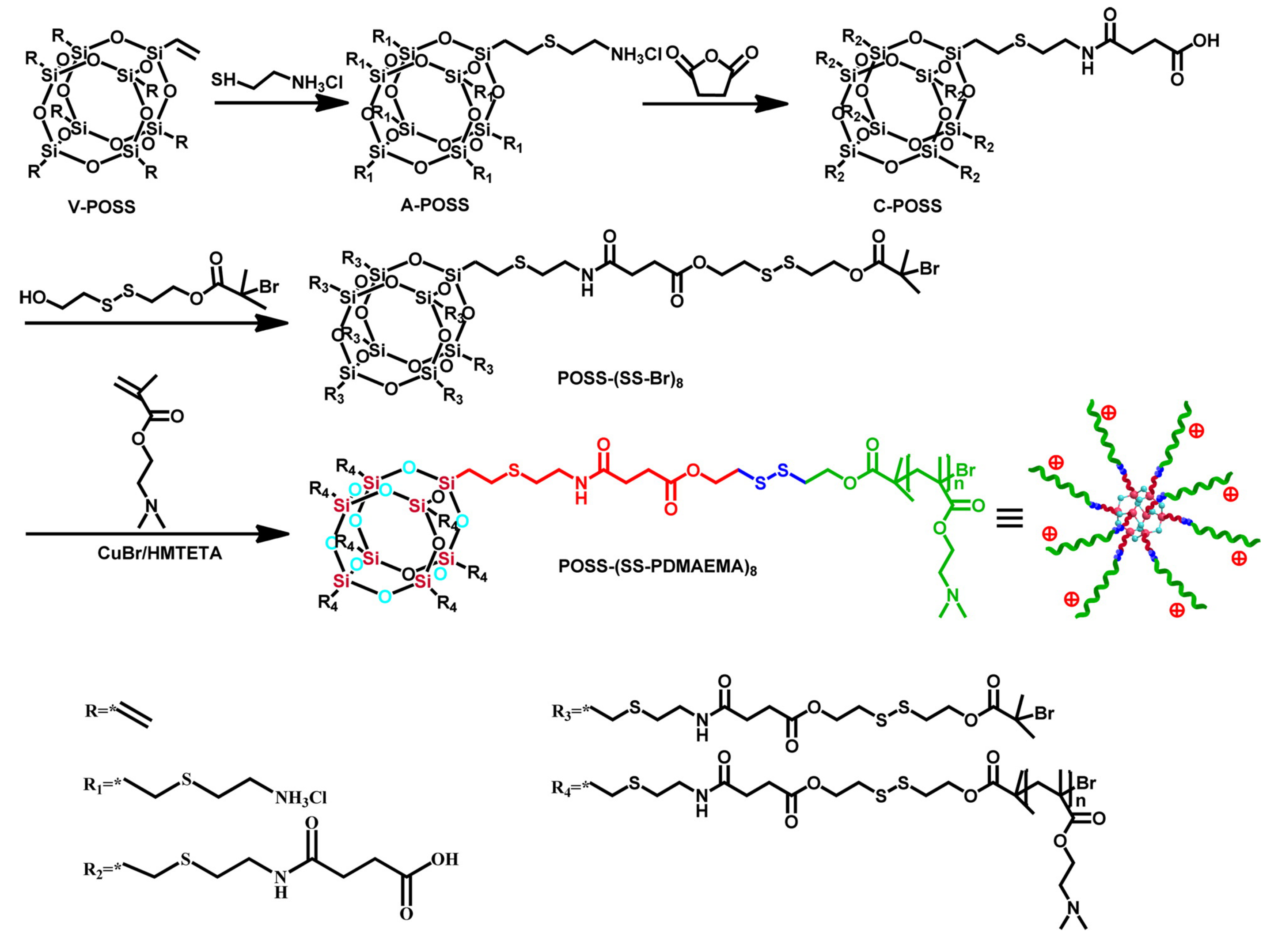 Molecules 26 06453 g003