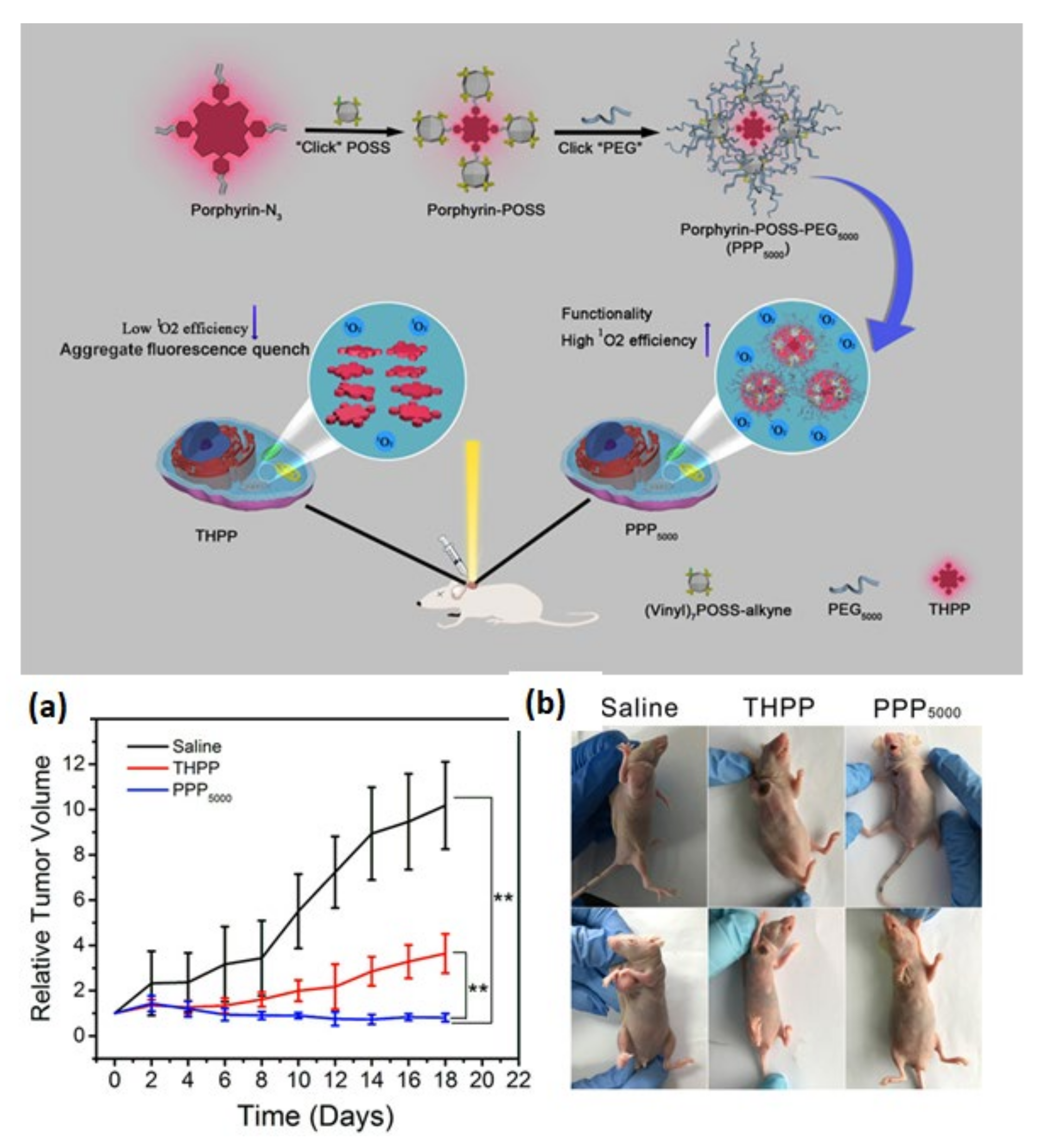 Molecules 26 06453 g008
