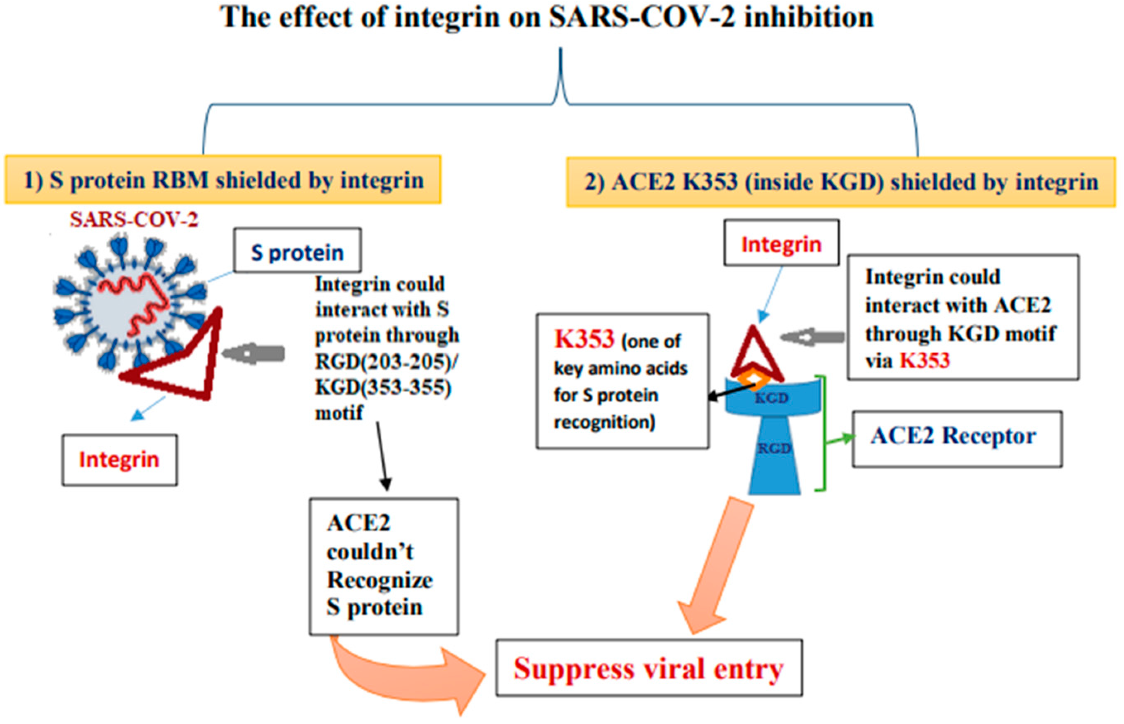 Molecules 26 06455 g003 Molecules 26 06455 g003
