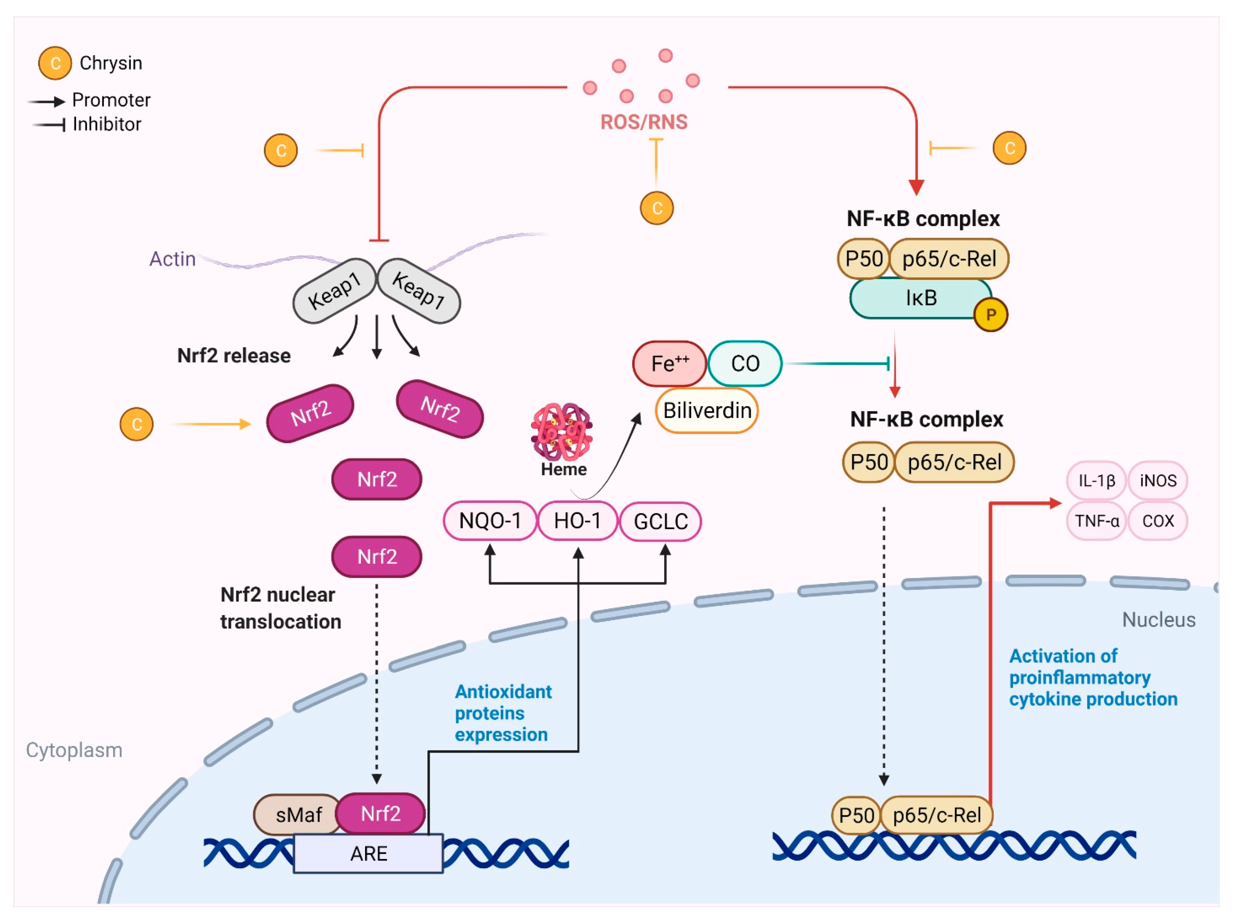 Molecules 26 06456 g003