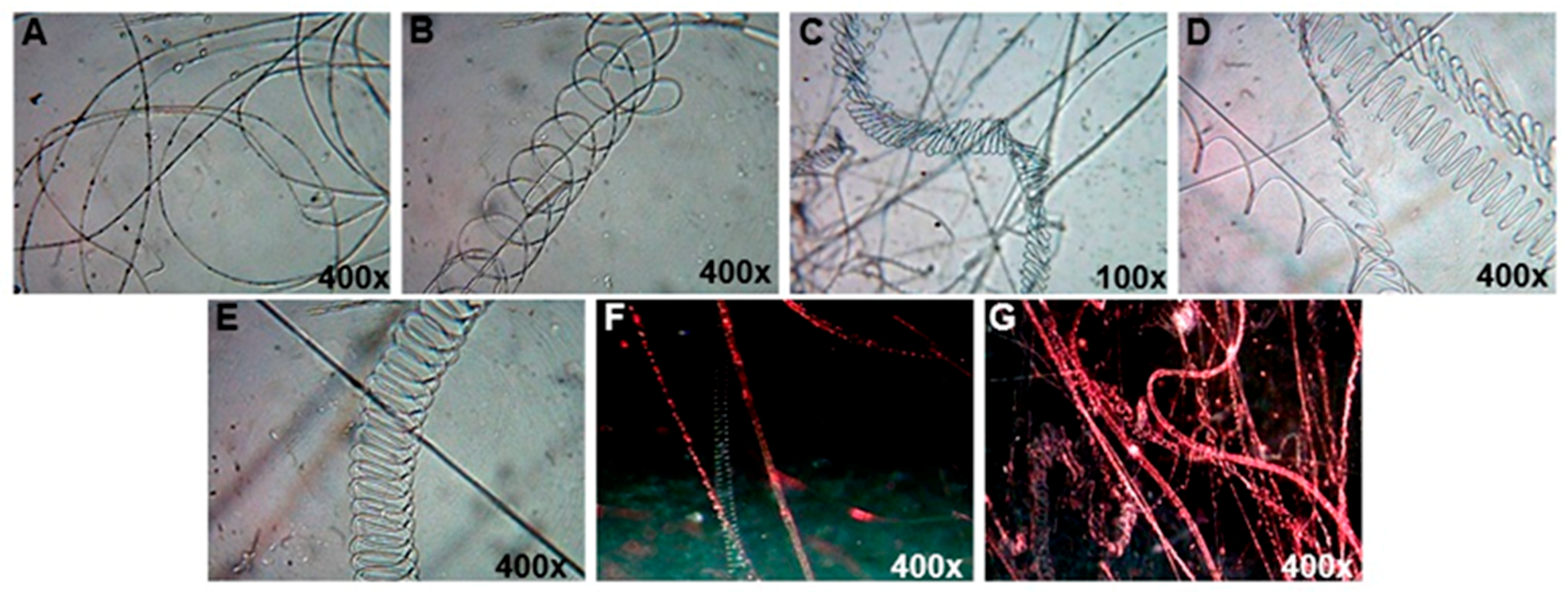 Molecules 26 06457 g001