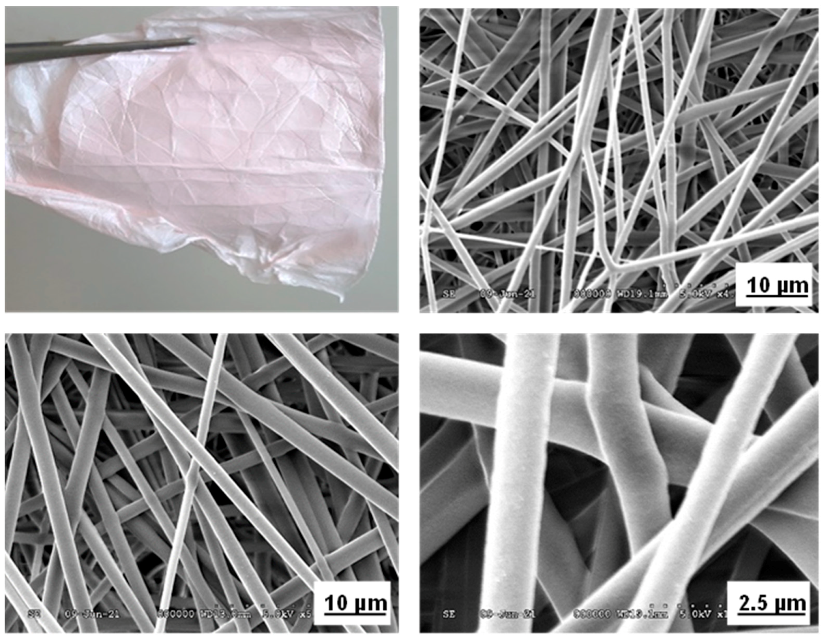 Molecules 26 06457 g003
