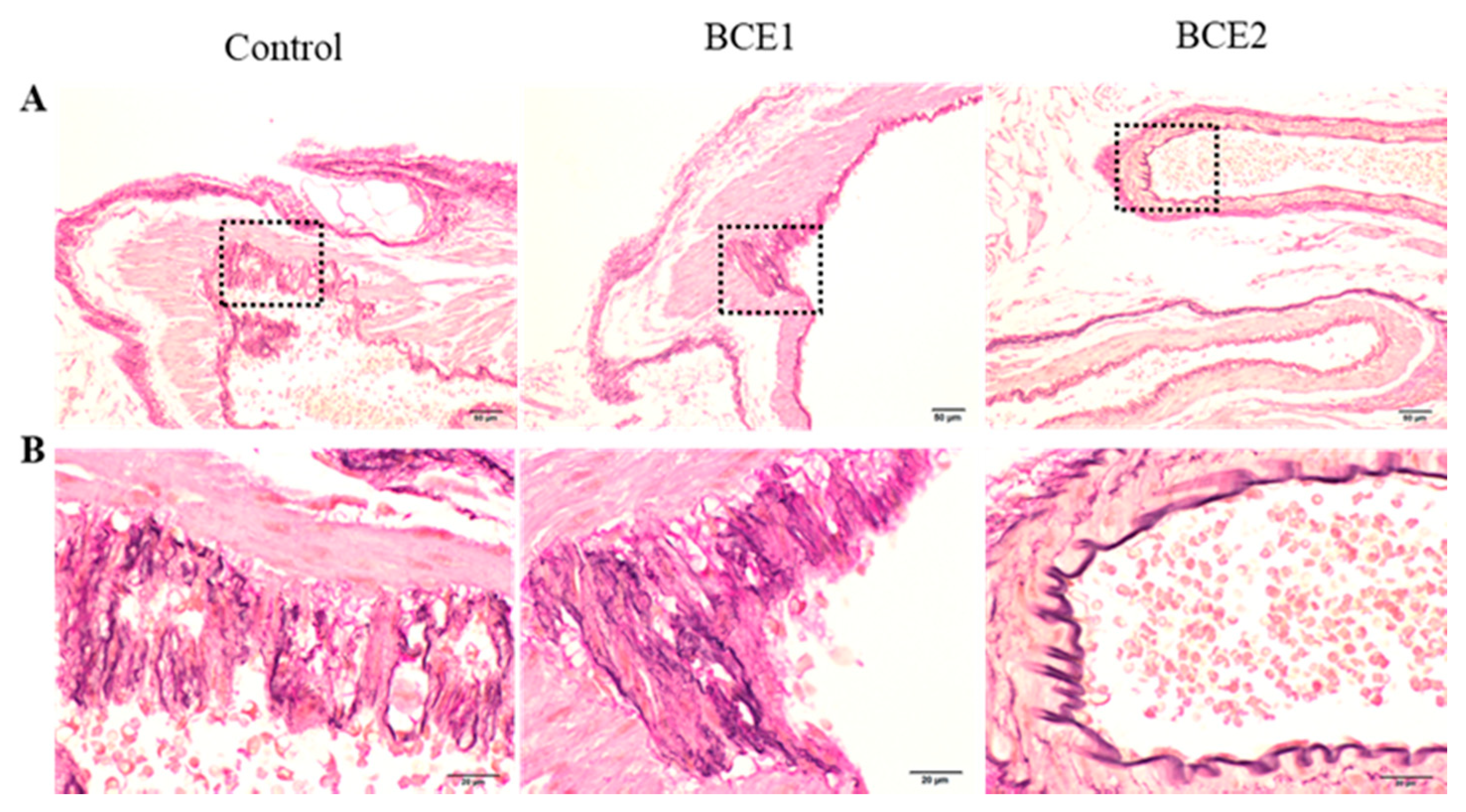 Molecules 26 06459 g001
