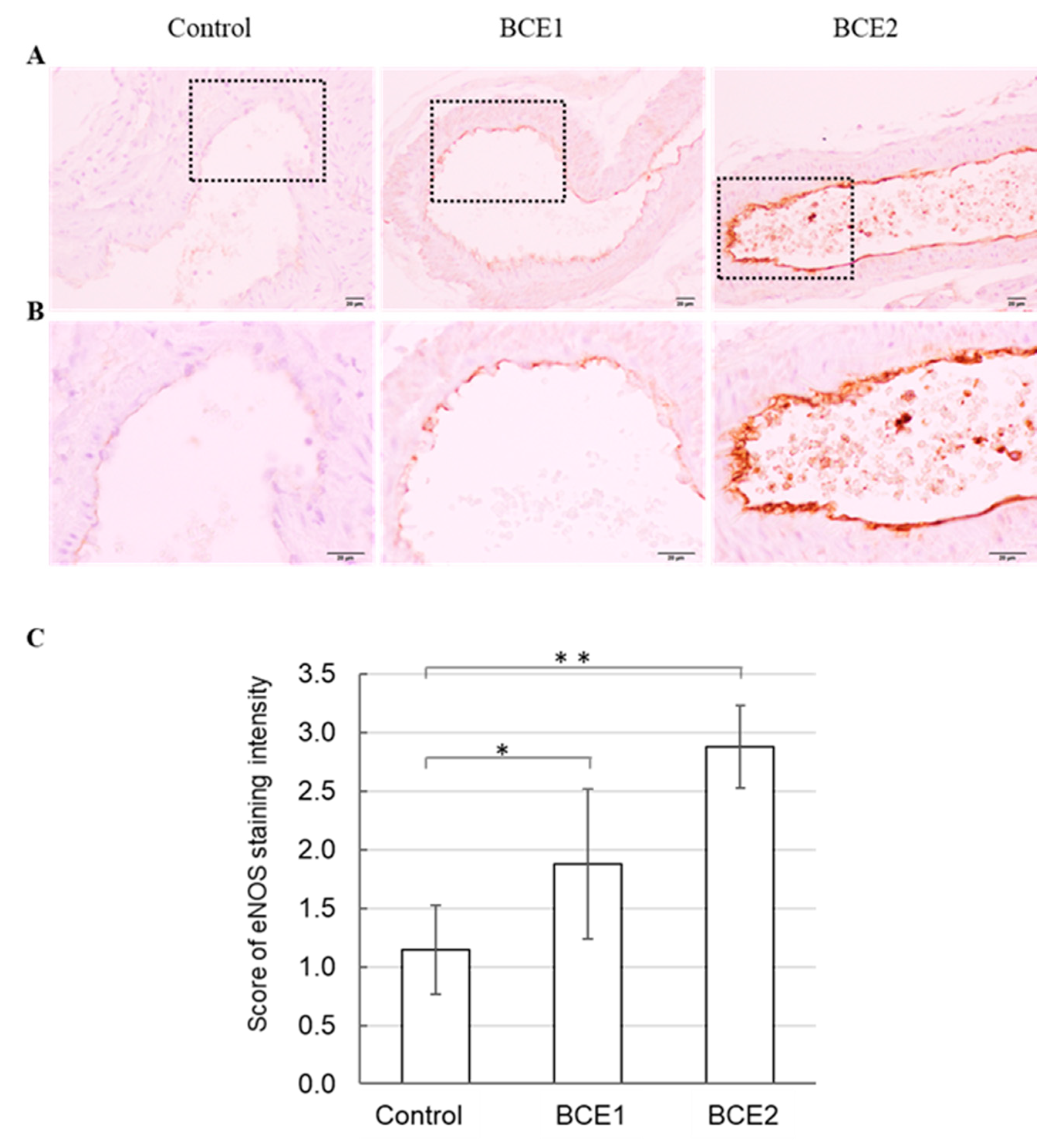 Molecules 26 06459 g002