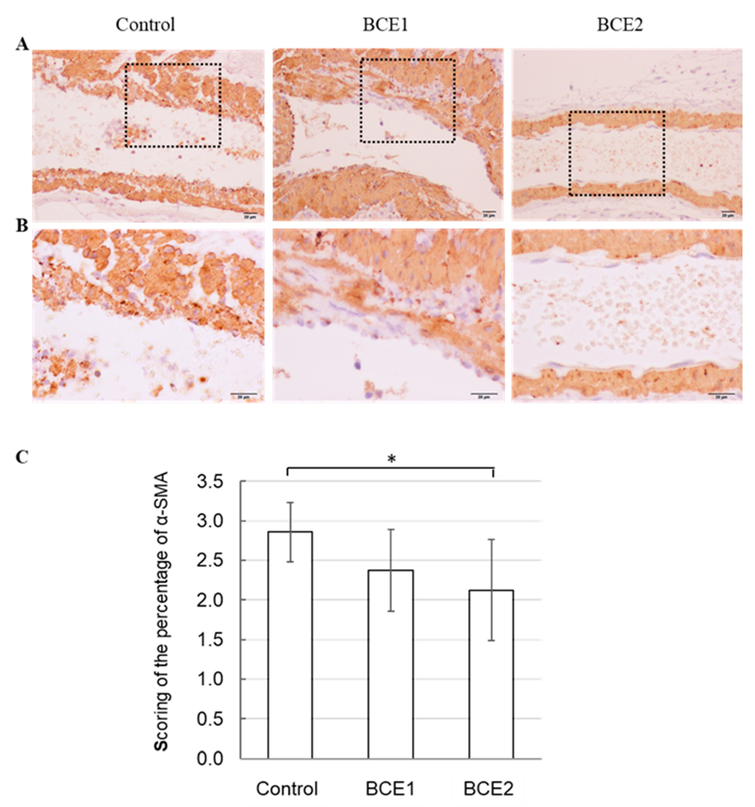 Molecules 26 06459 g003