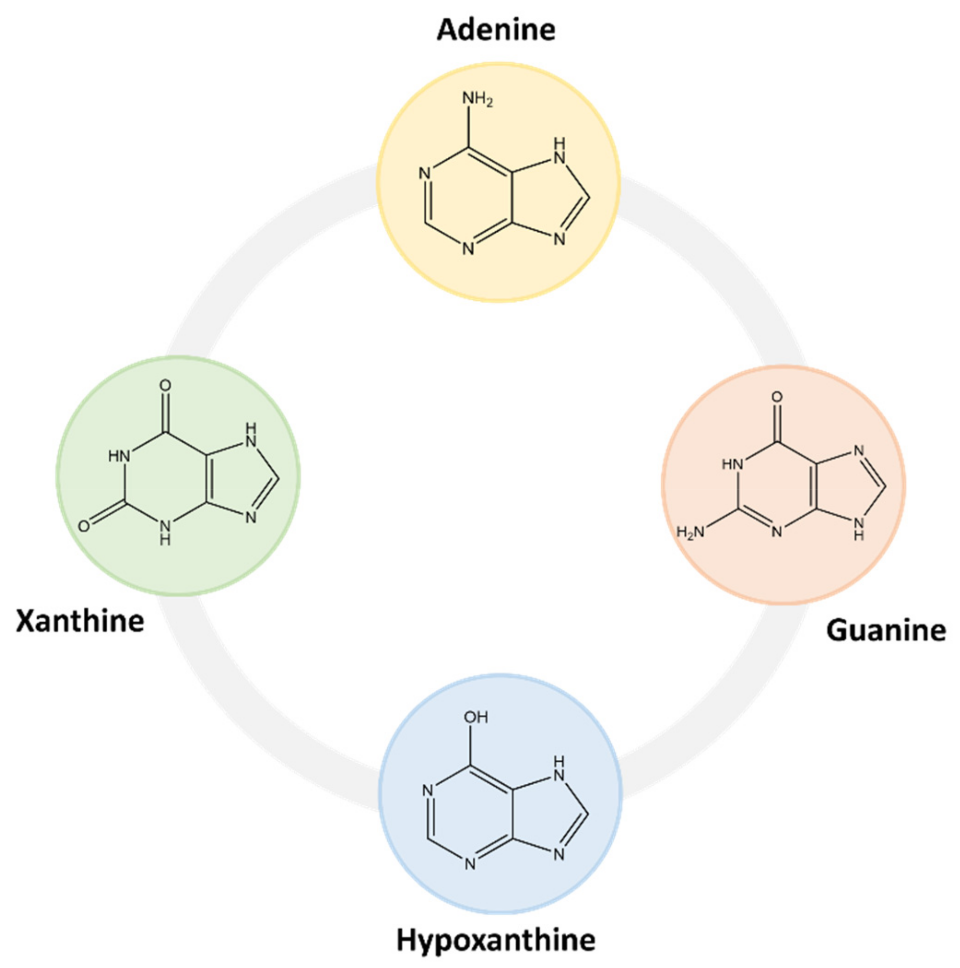 Molecules 26 06460 g004