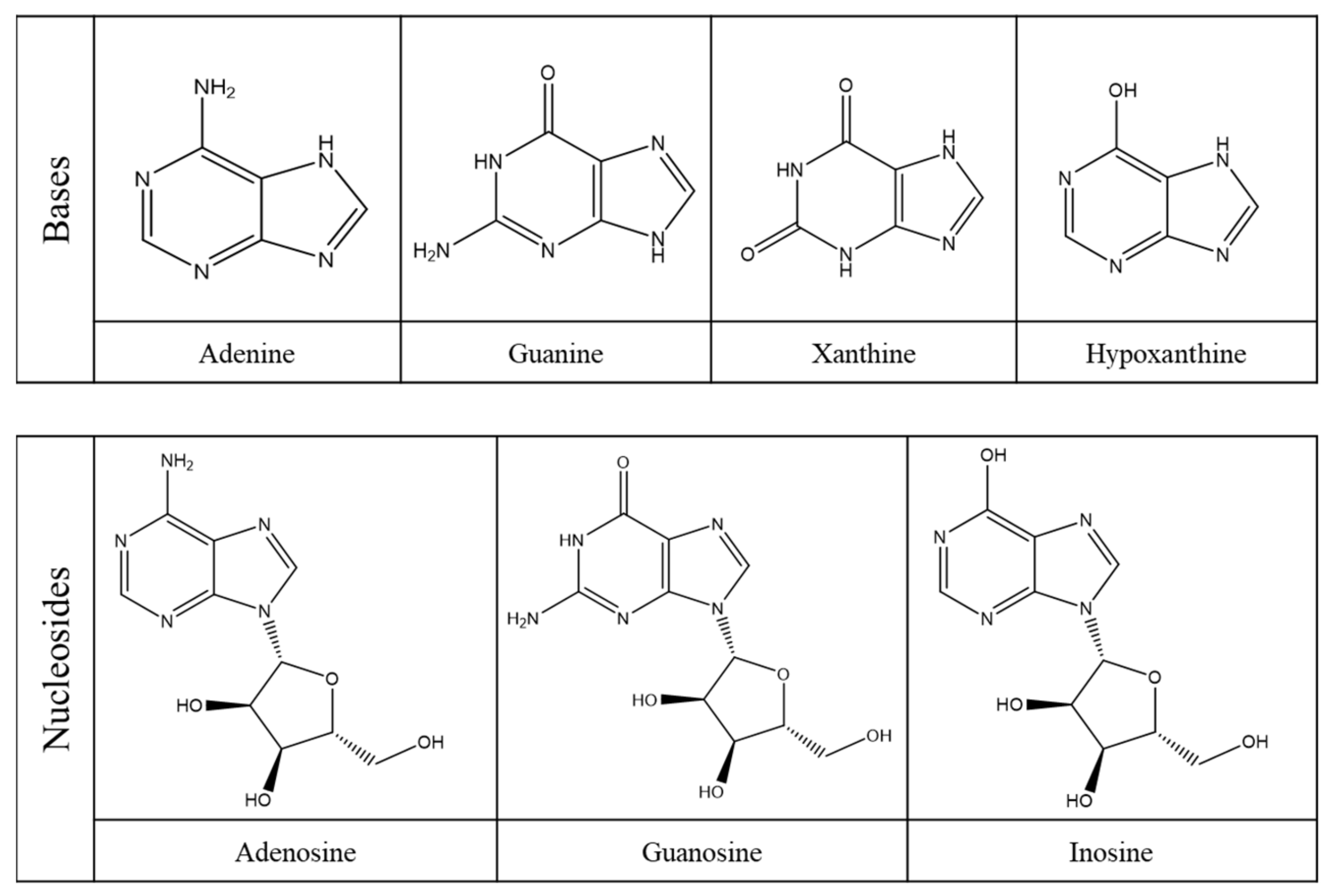 Molecules 26 06460 g006