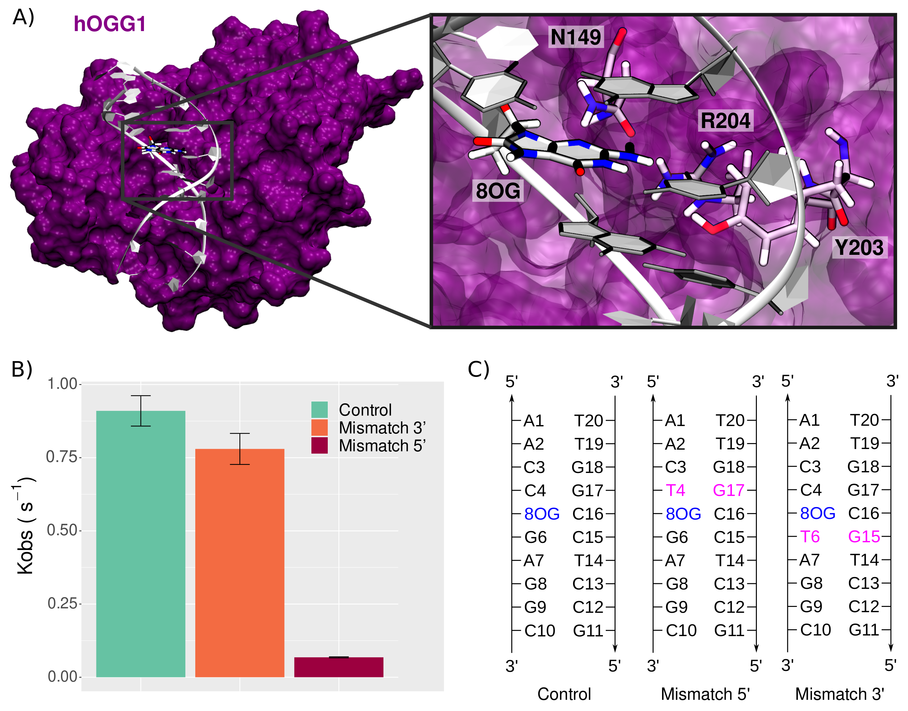 Molecules 26 06465 g001