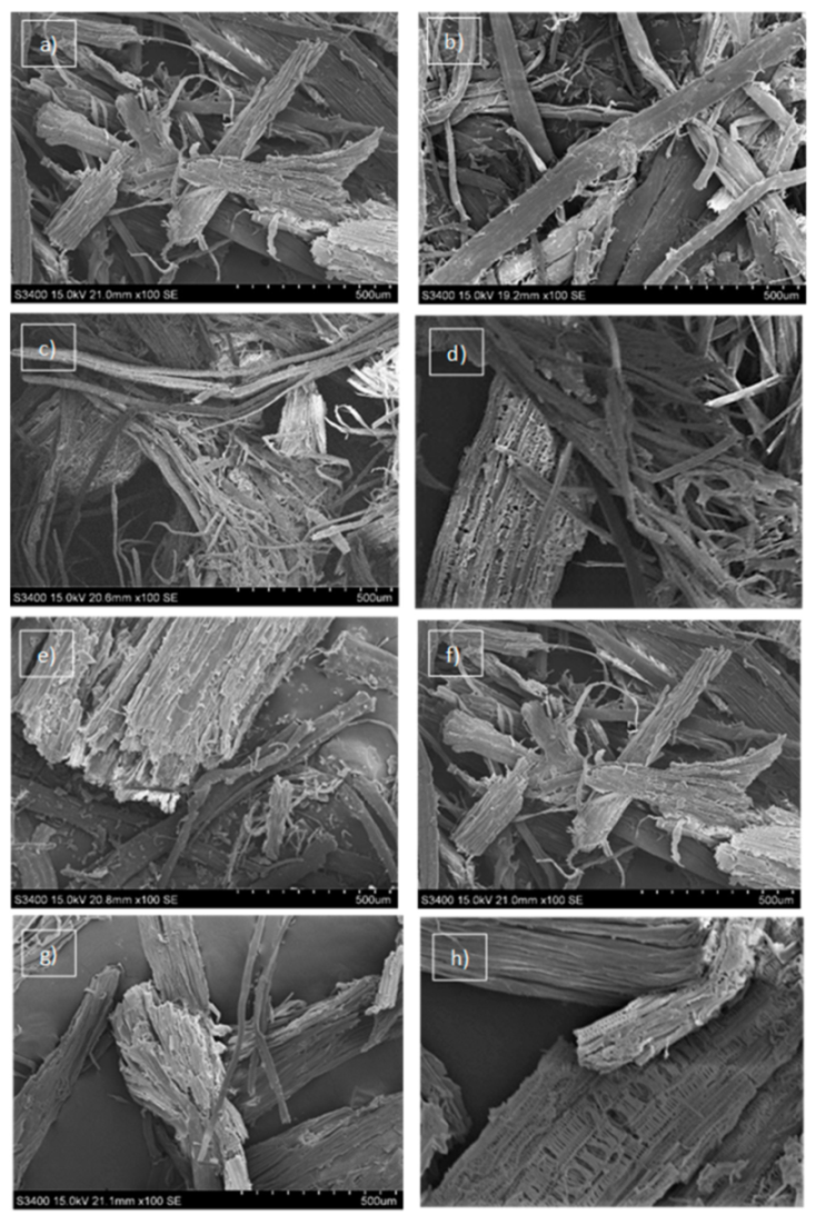 Molecules 26 06467 g002