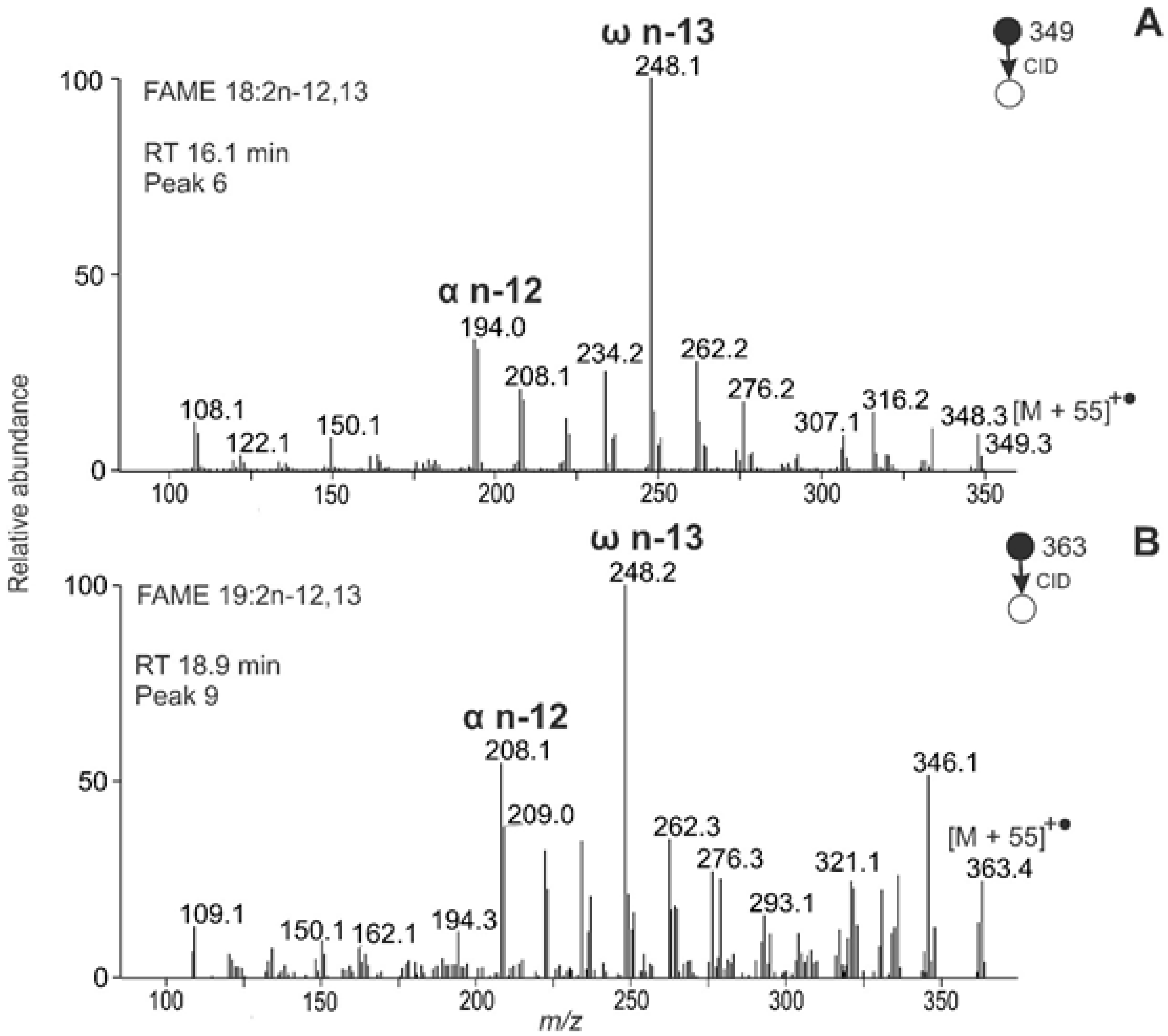 Molecules 26 06468 g010