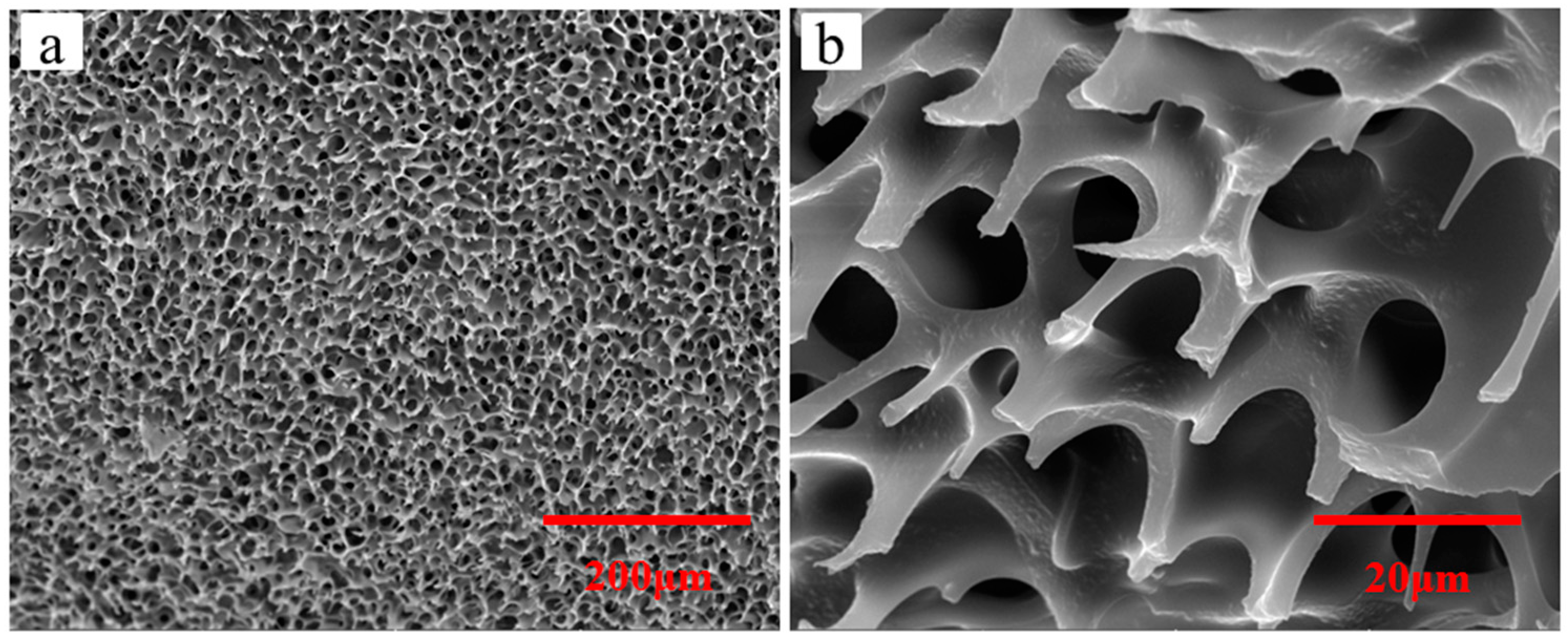 Molecules 26 06471 g002