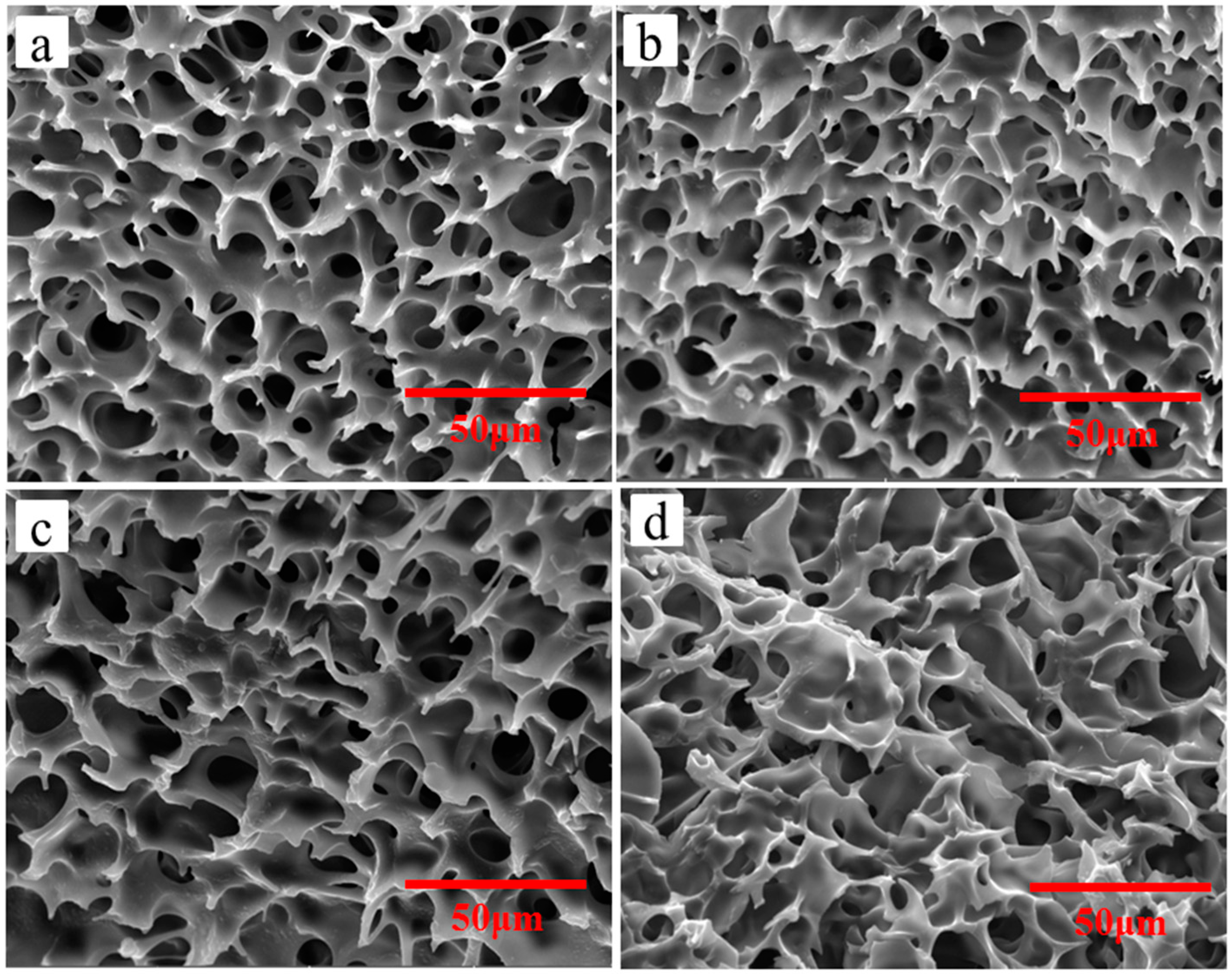 Molecules 26 06471 g005