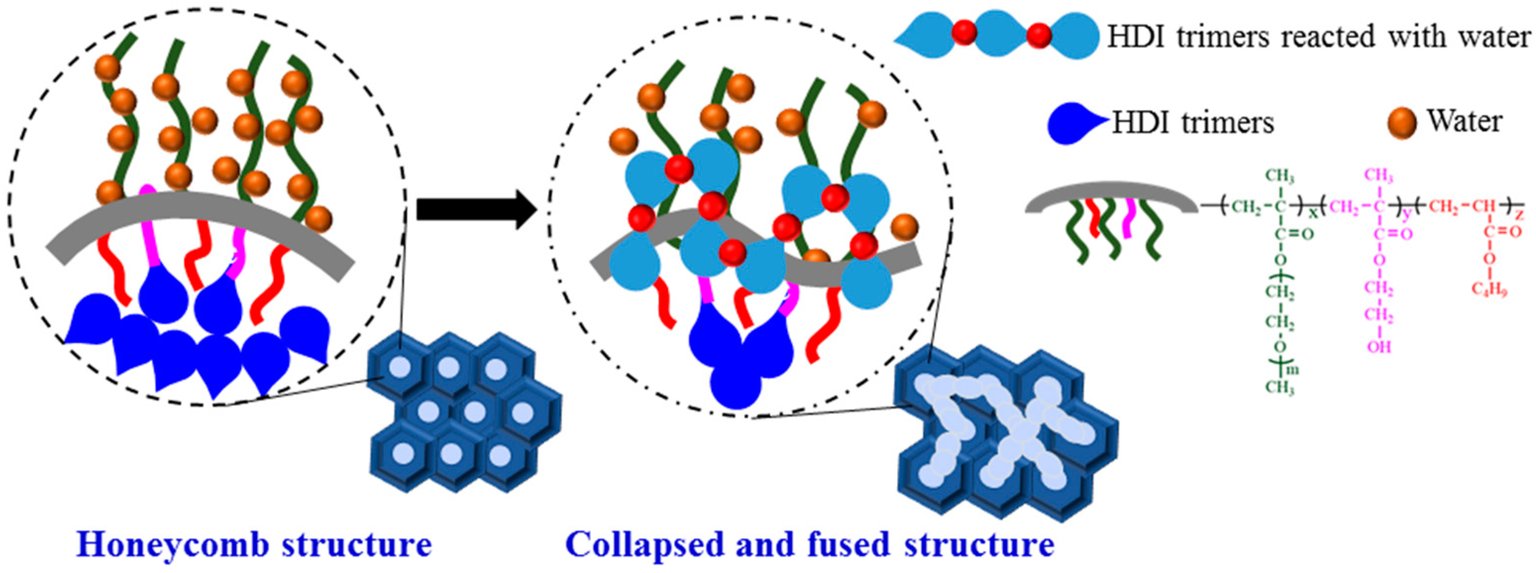 Molecules 26 06471 g006
