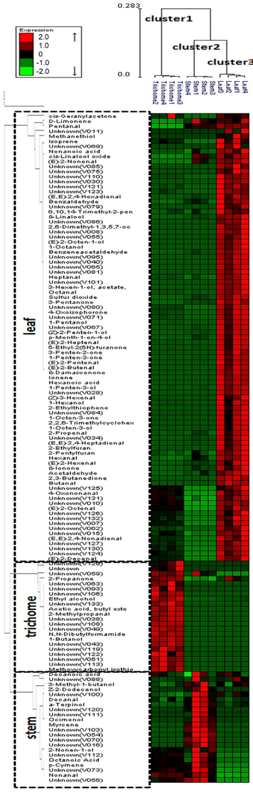 Molecules 26 06473 g004