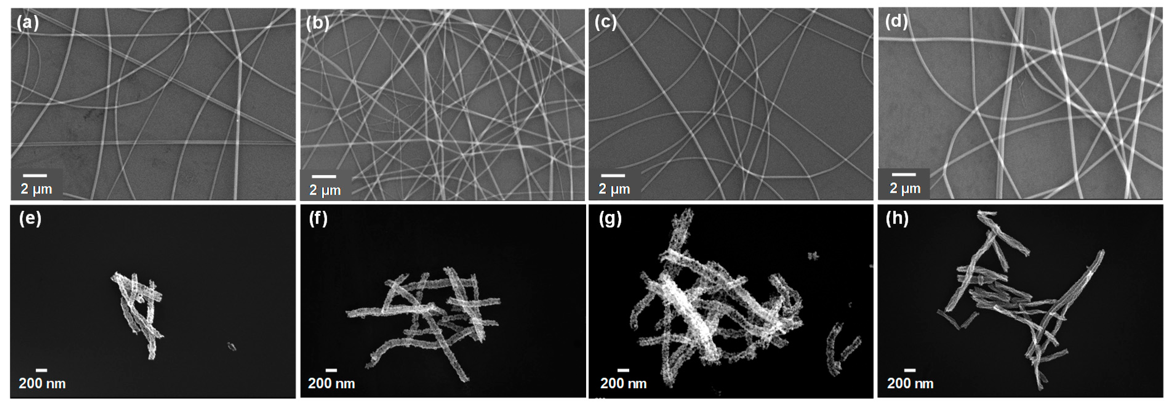Molecules 26 06475 g002