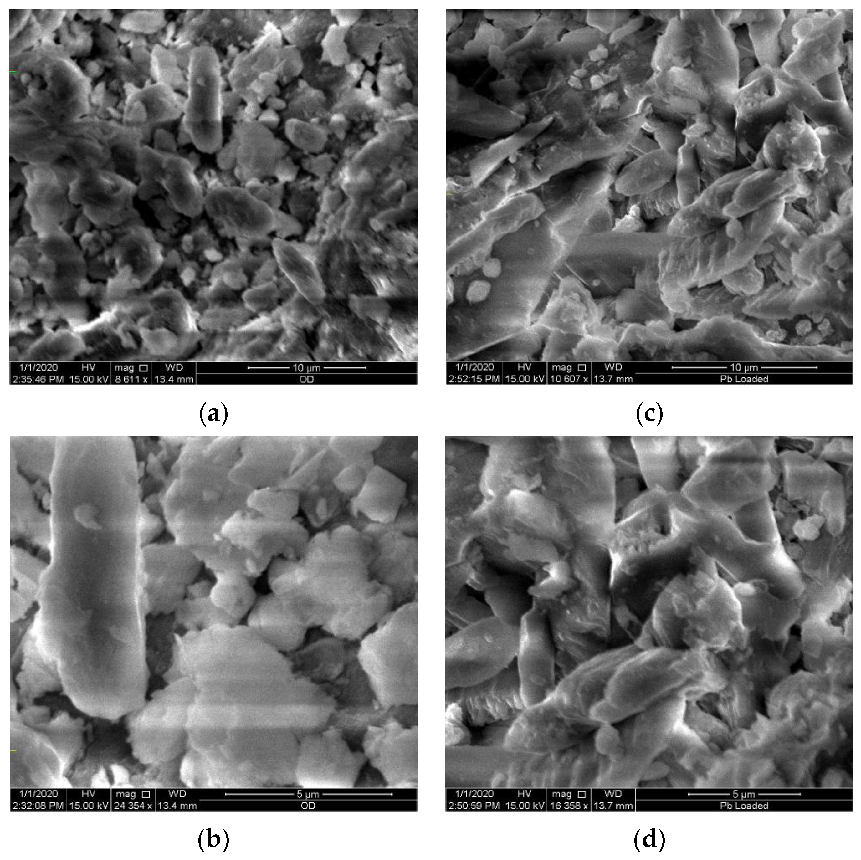 Molecules 26 06477 g001