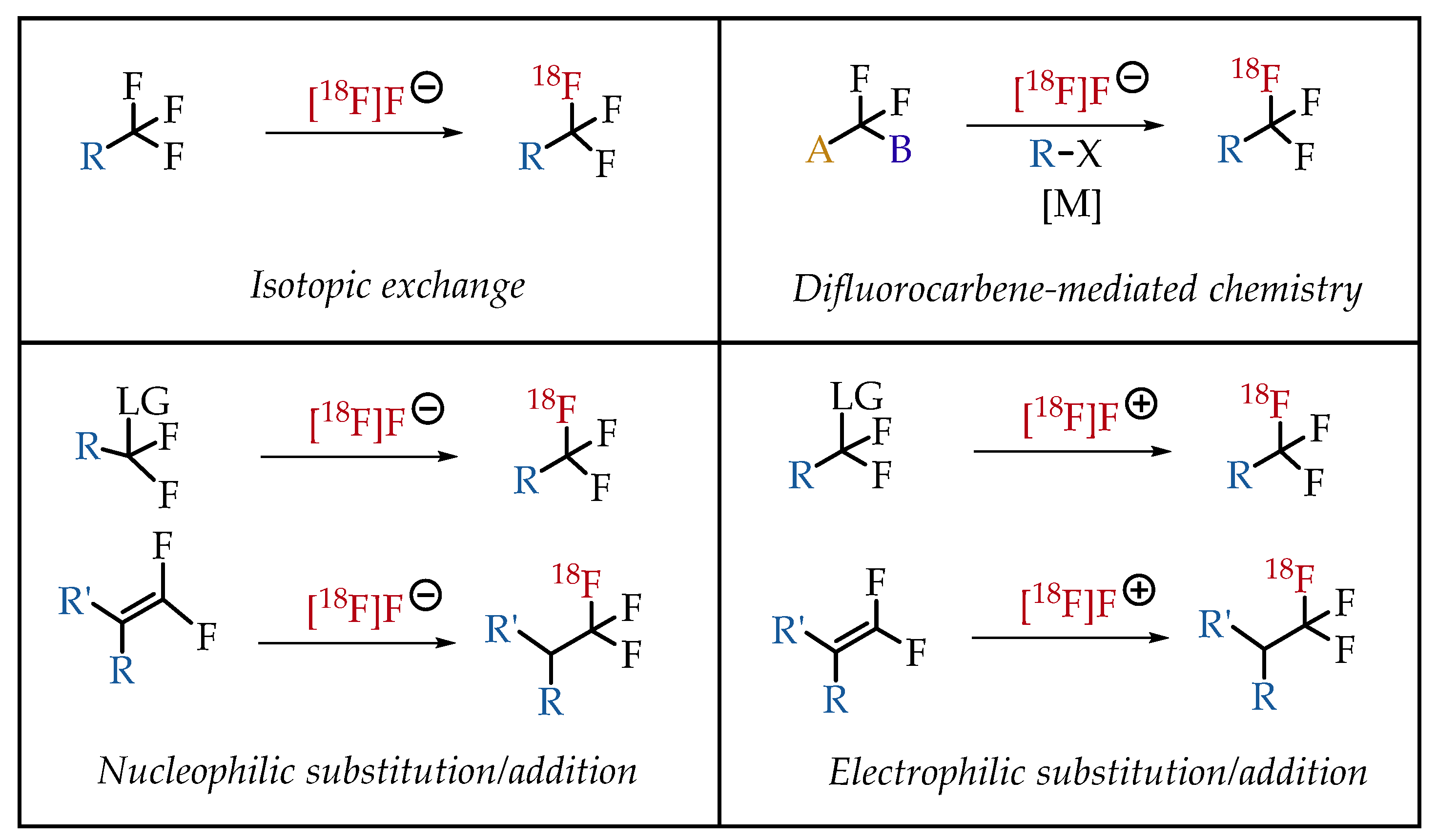 Molecules 26 06478 g005