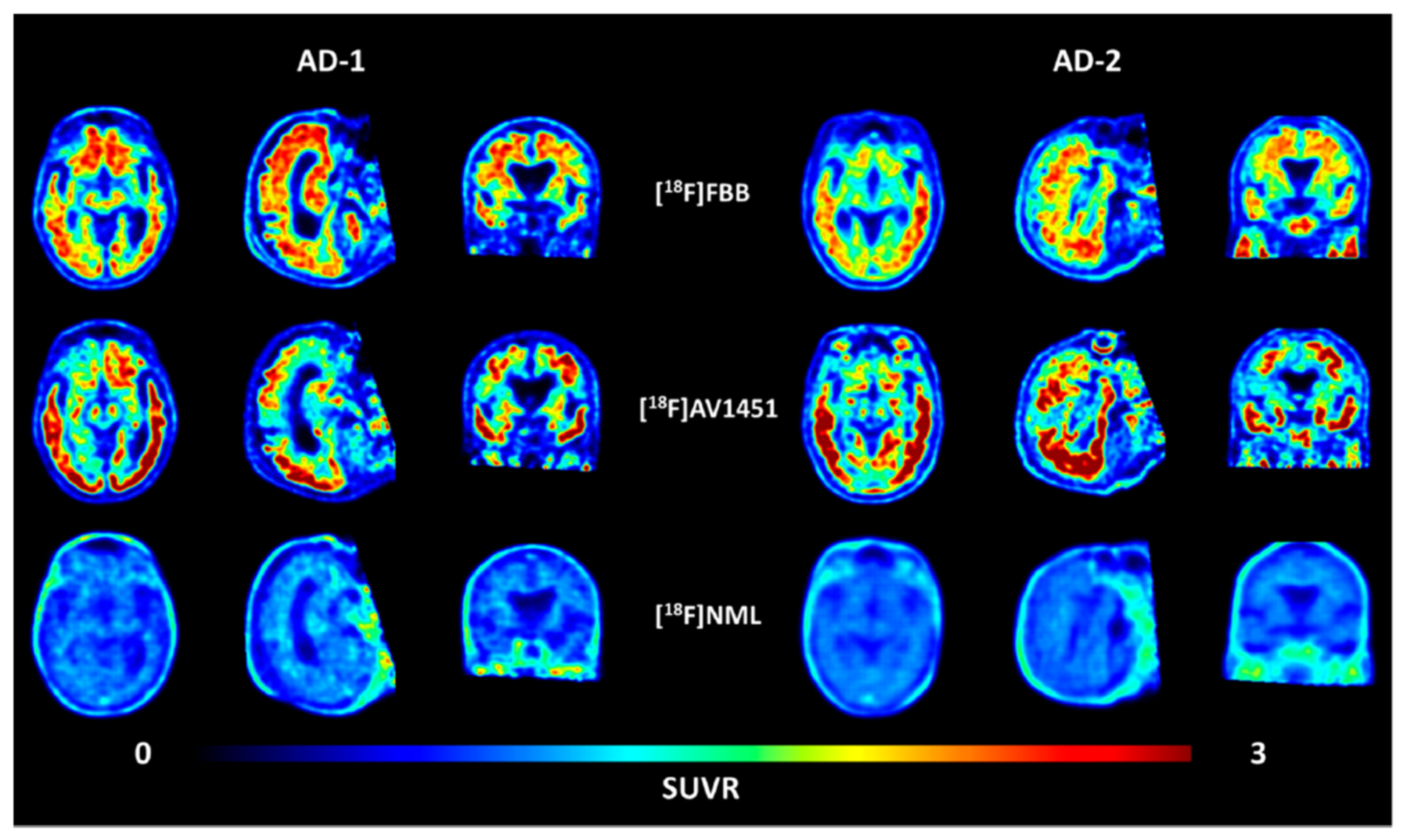 Molecules 26 06478 g007