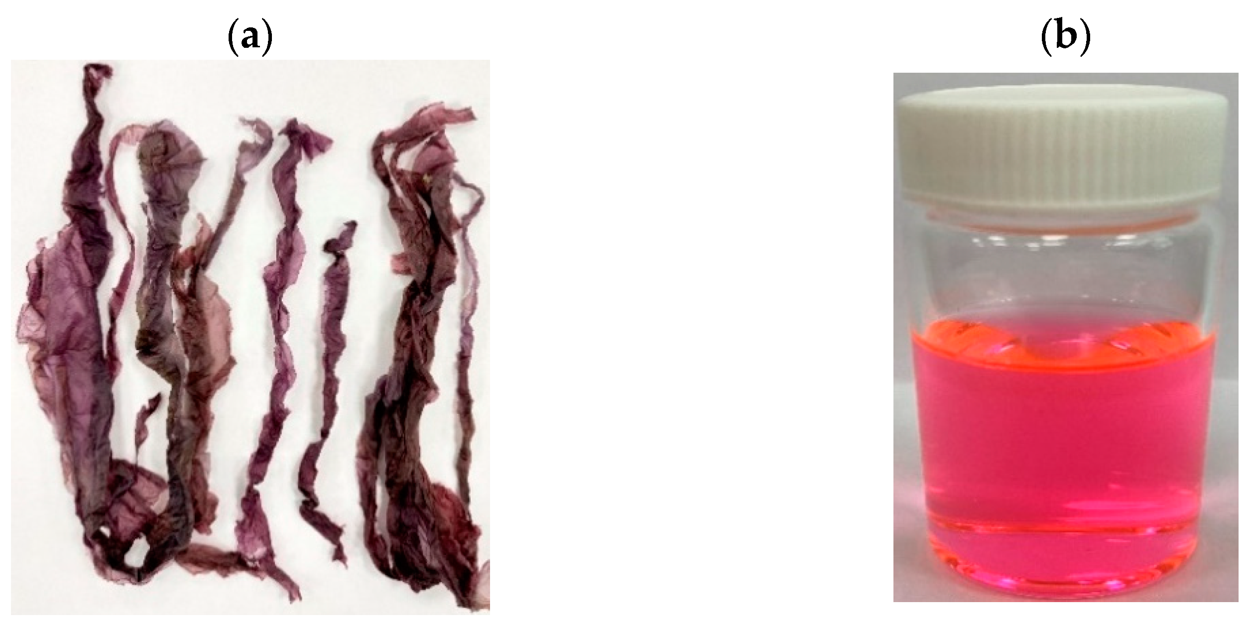 Molecules 26 06479 g001 Molecules 26 06479 g001