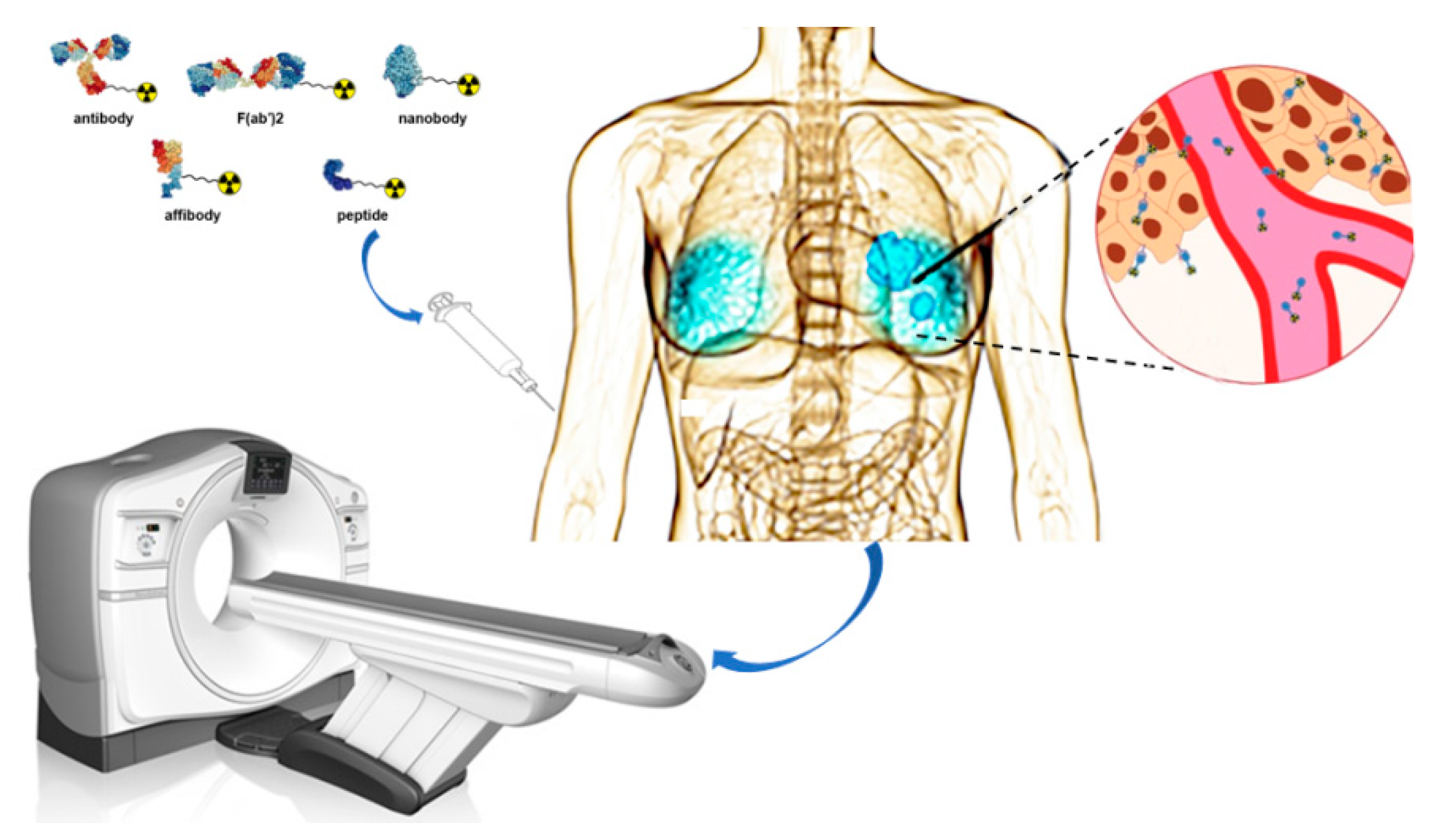 Molecules 26 06482 g001
