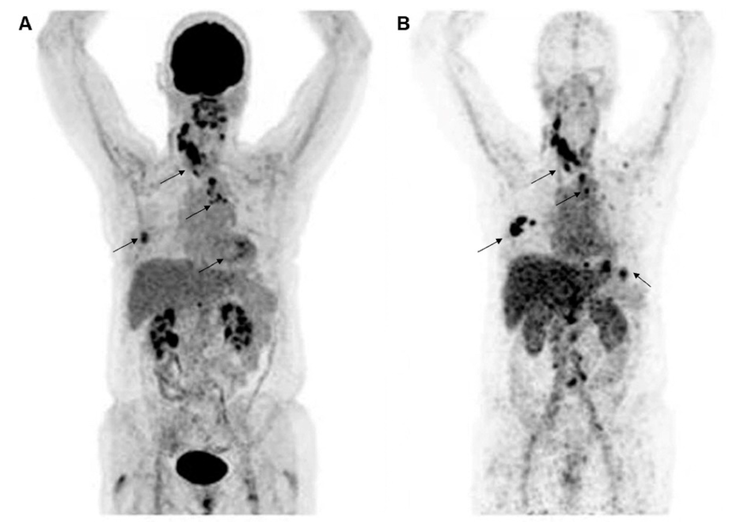 Molecules 26 06482 g002