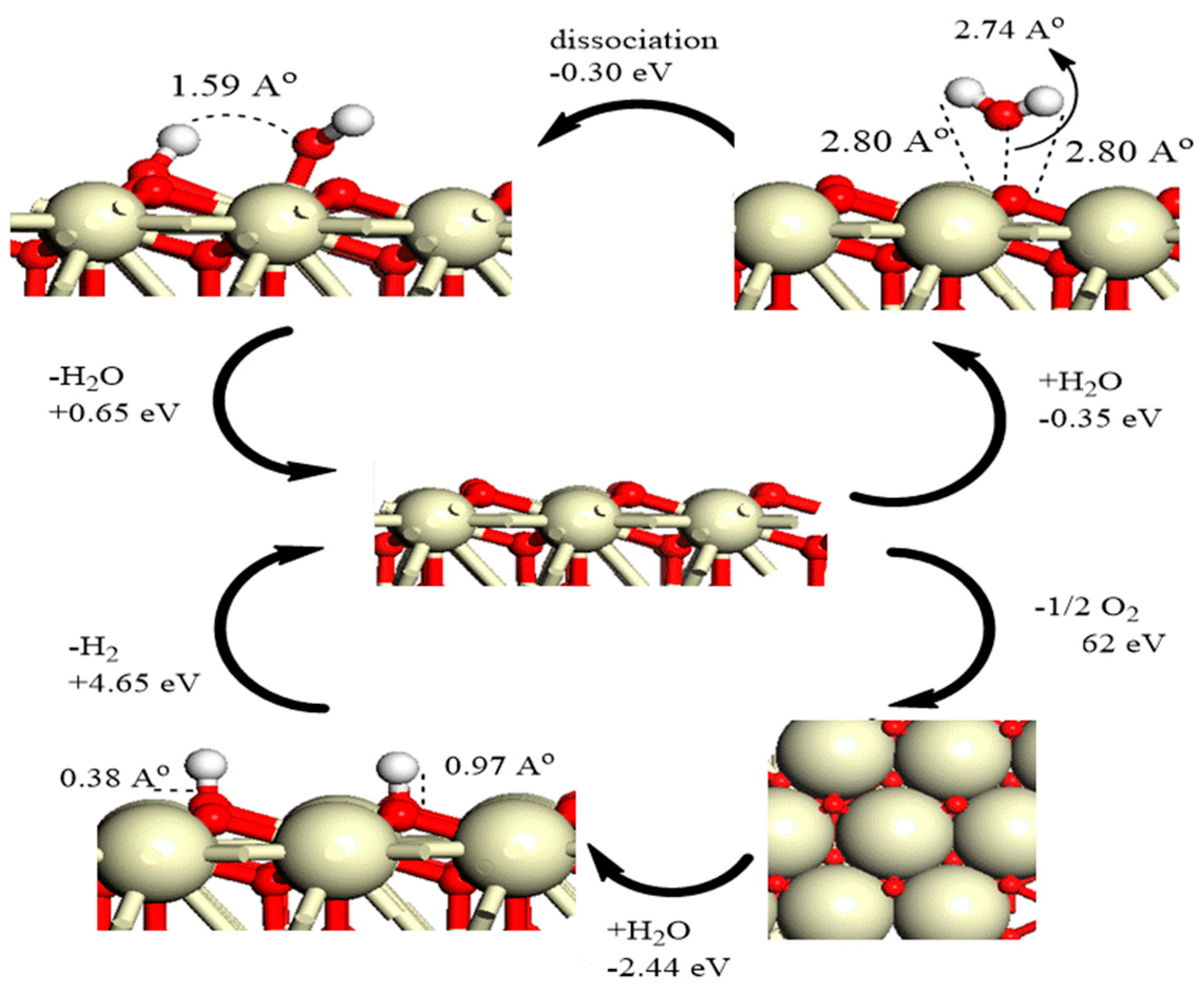 Molecules 26 06485 g008