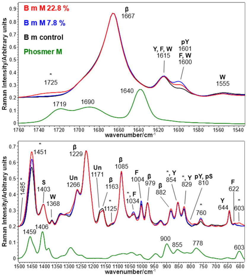Molecules 26 06487 g002