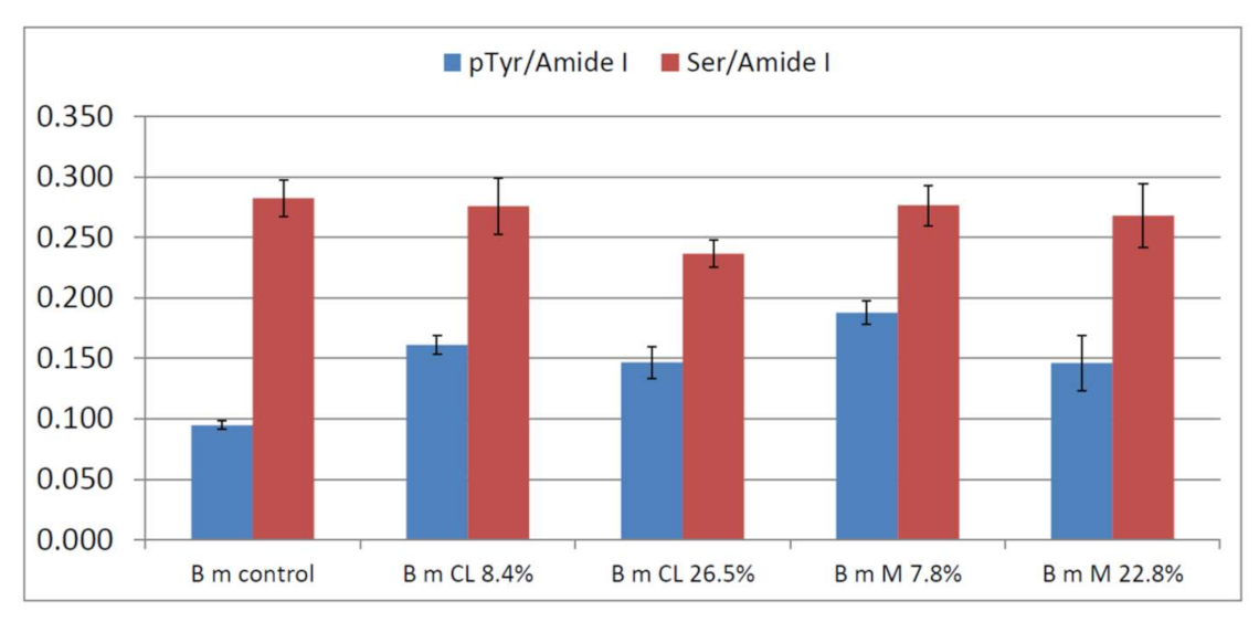Molecules 26 06487 g004