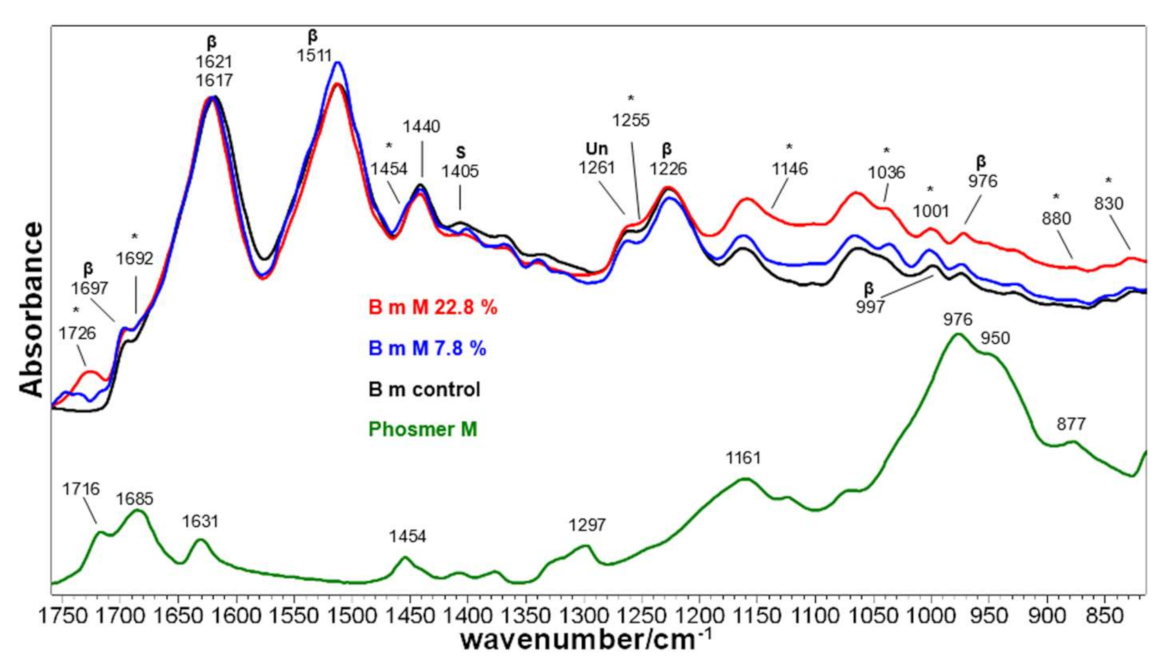 Molecules 26 06487 g006