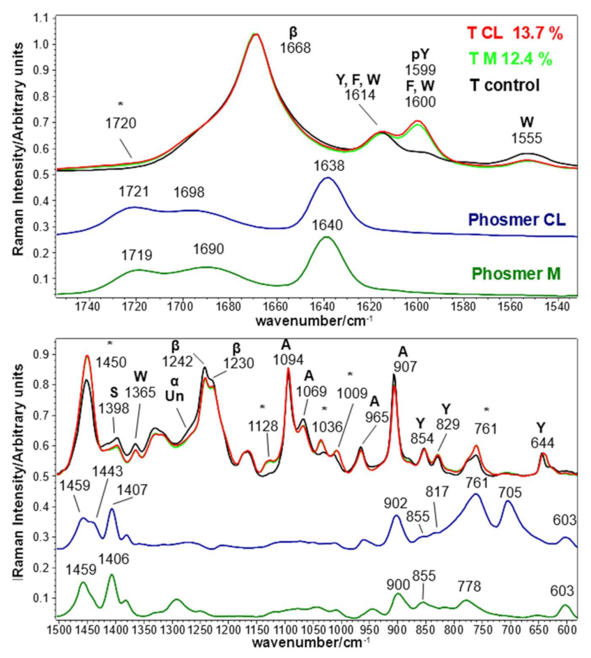 Molecules 26 06487 g008