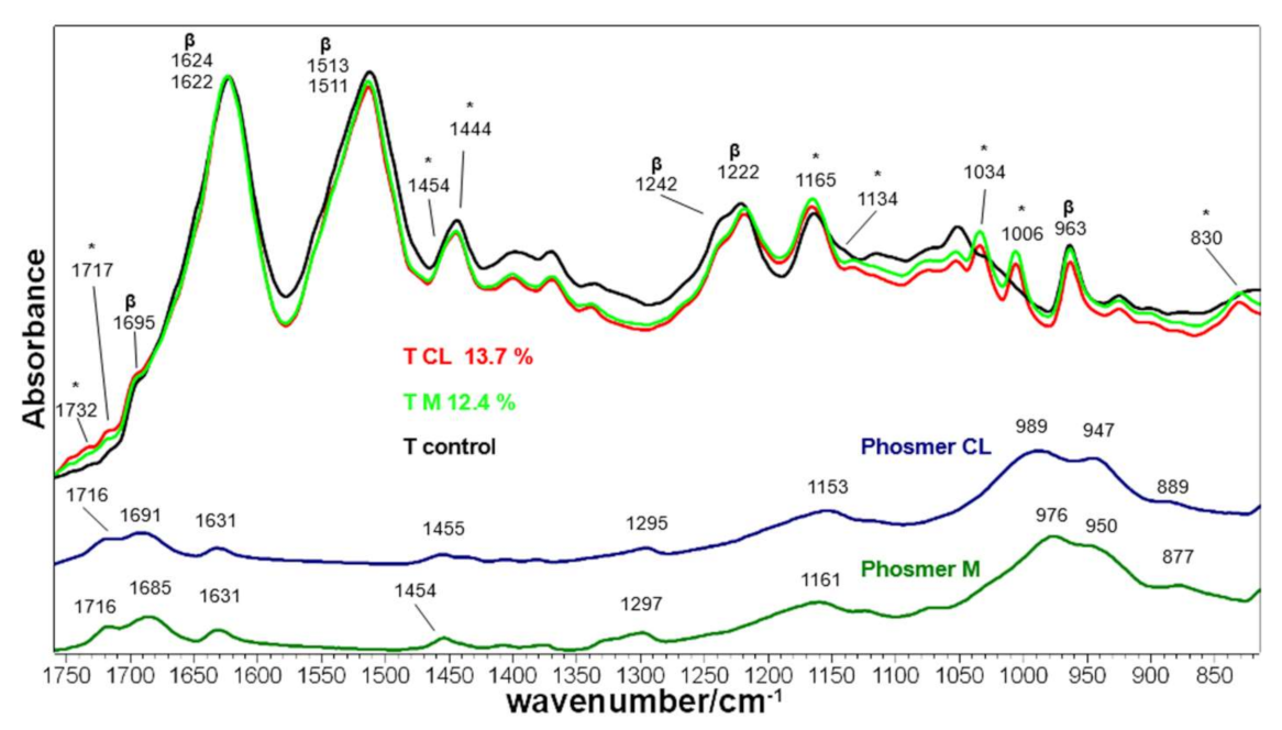 Molecules 26 06487 g010