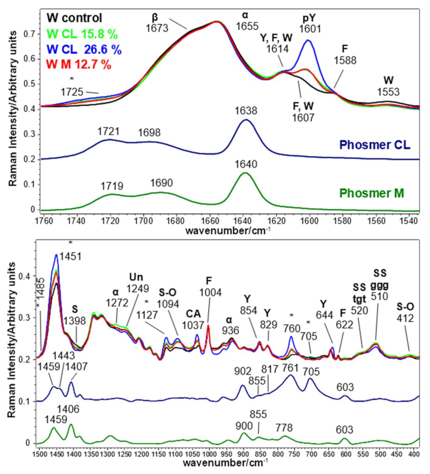 Molecules 26 06487 g011