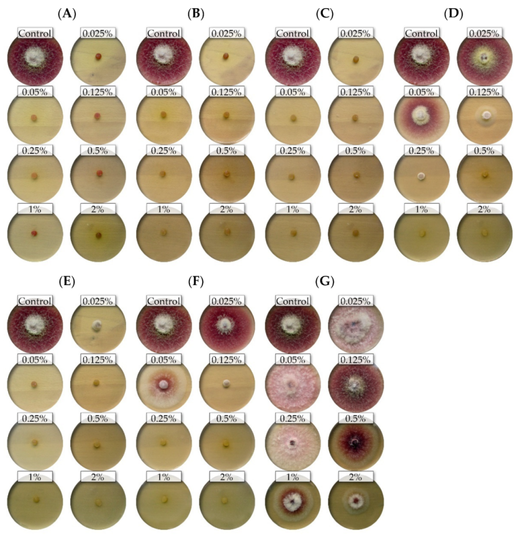 Molecules 26 06488 g001