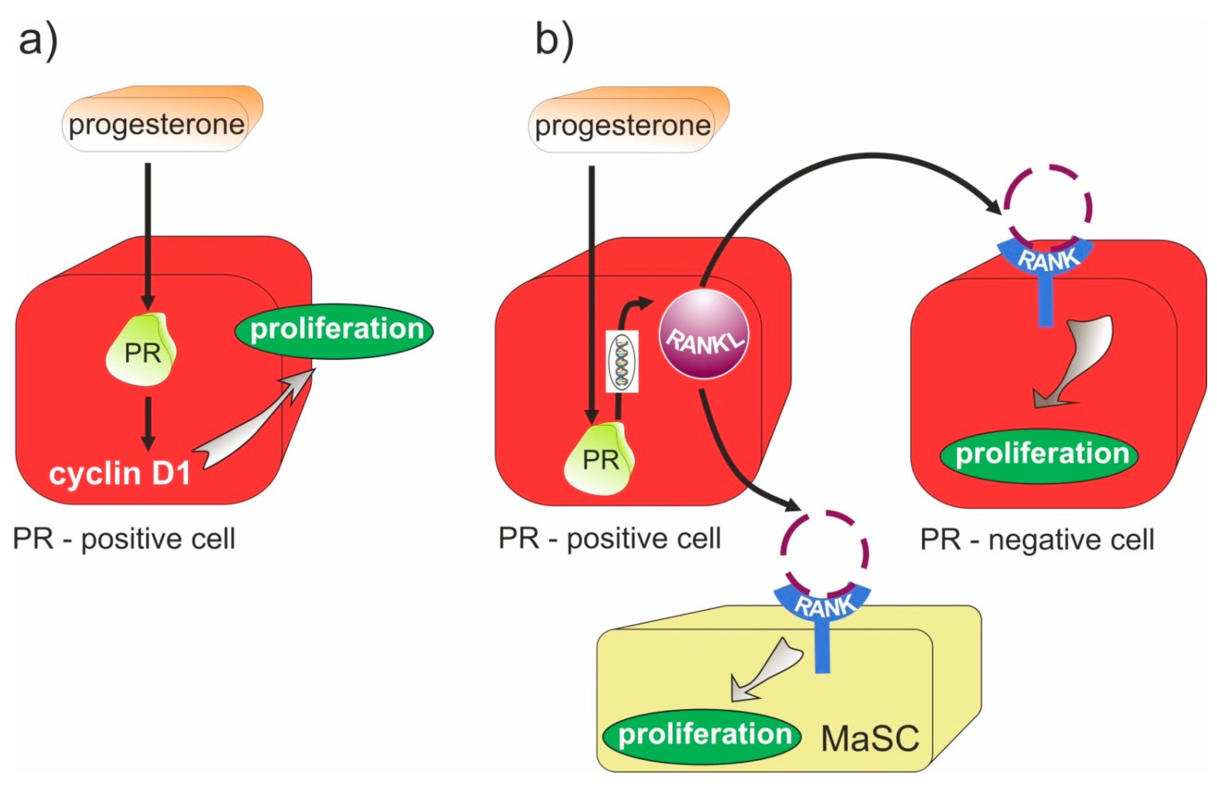 Molecules 26 06491 g001