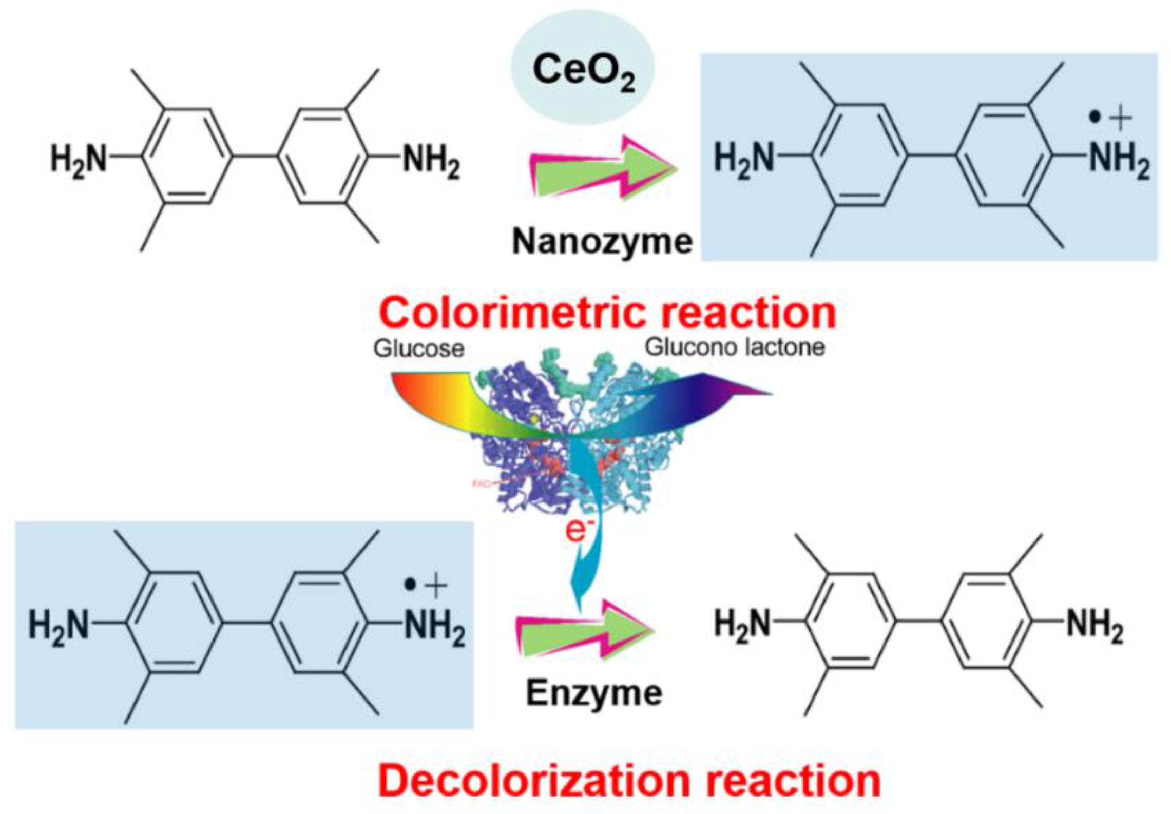Molecules 26 06494 g001