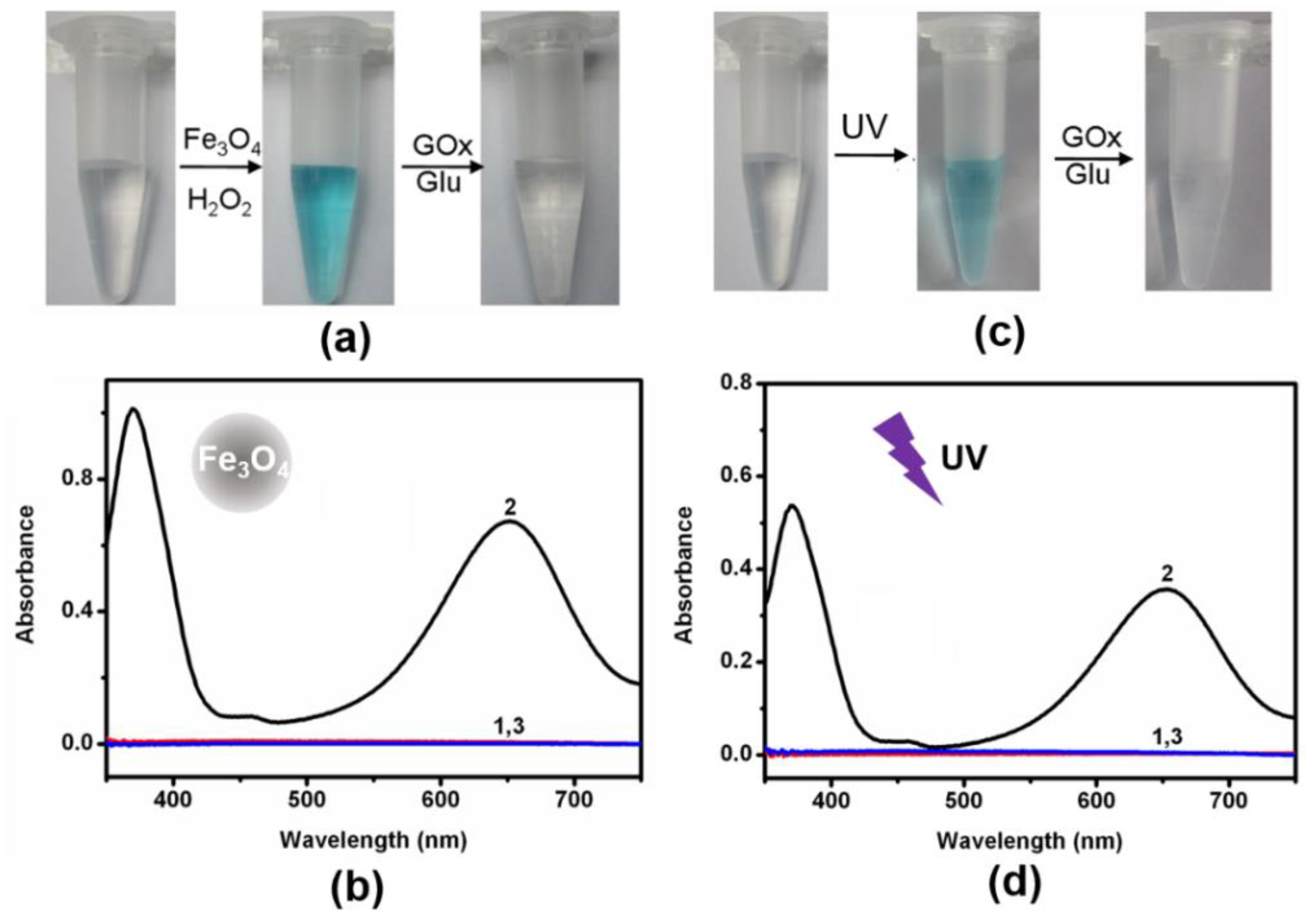 Molecules 26 06494 g003
