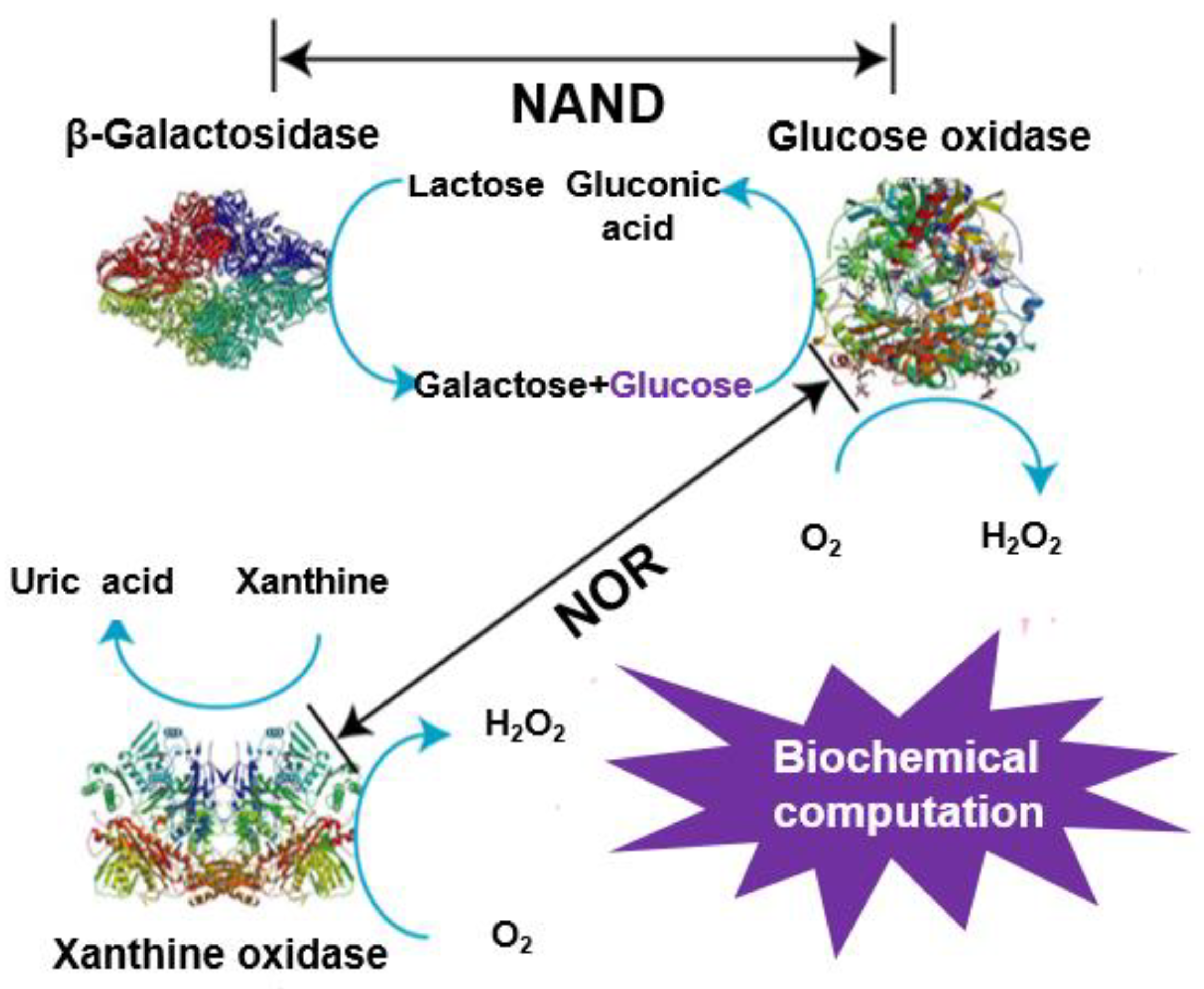 Molecules 26 06494 g005