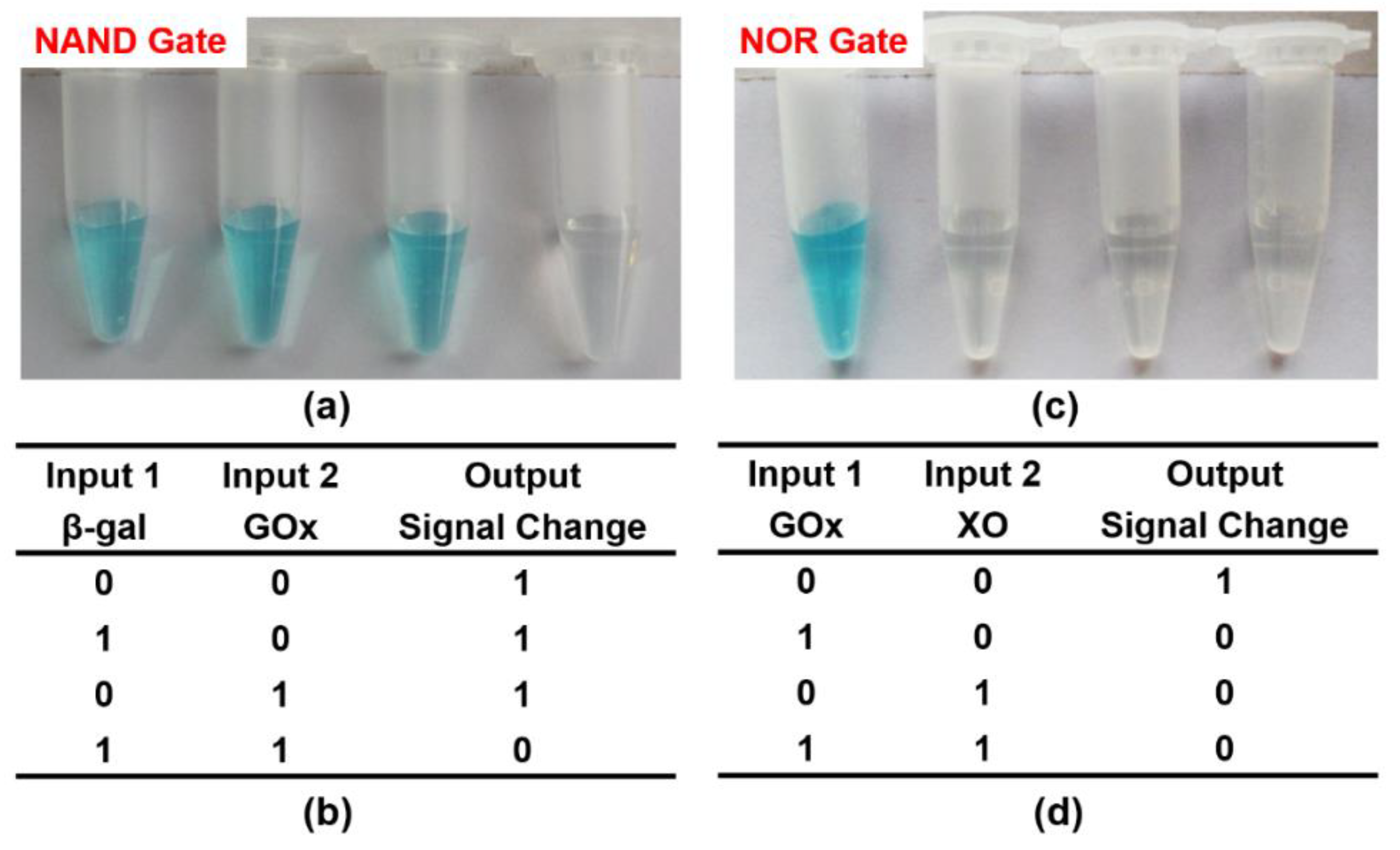 Molecules 26 06494 g006