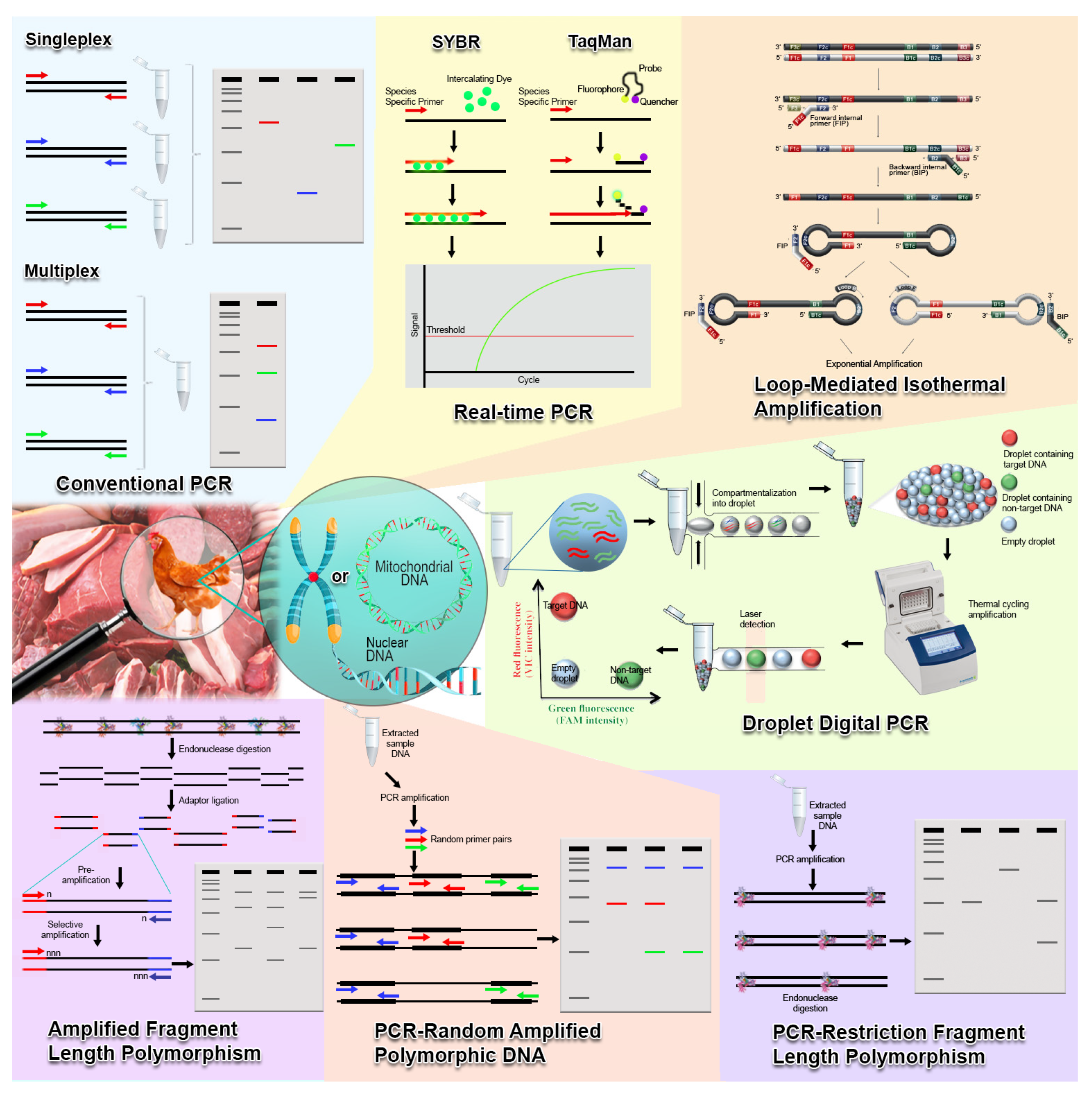 Molecules 26 06502 g001