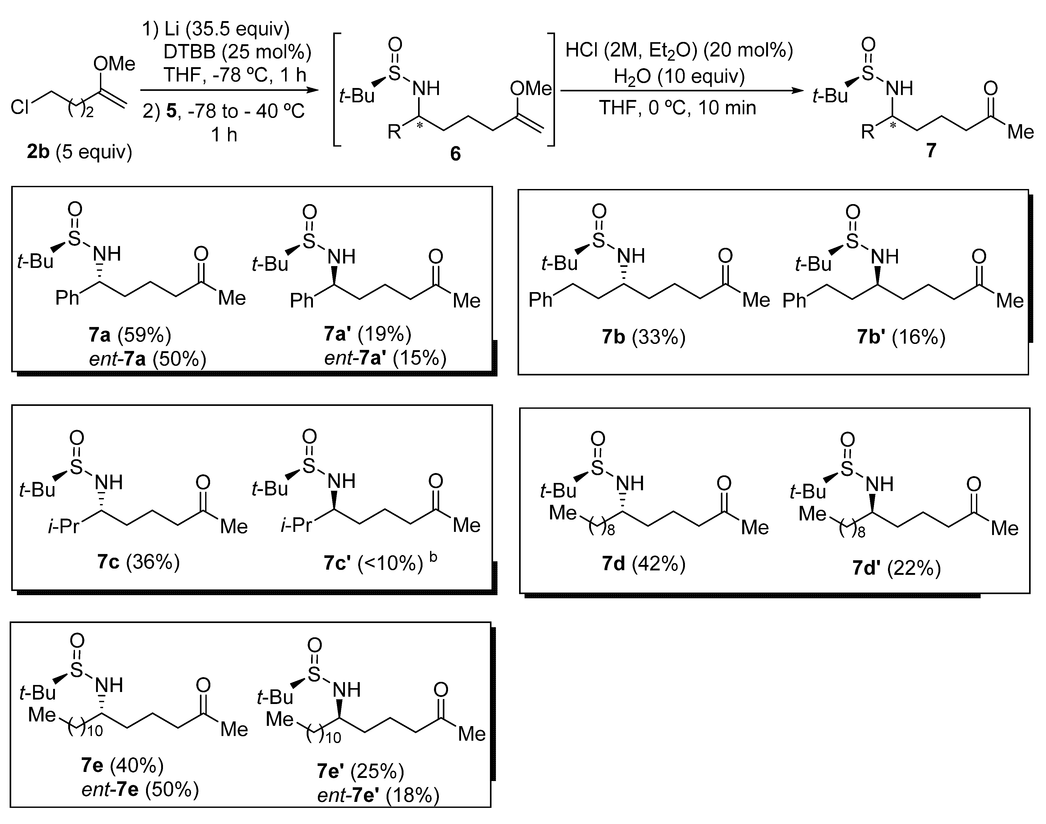 Molecules 26 06503 g001
