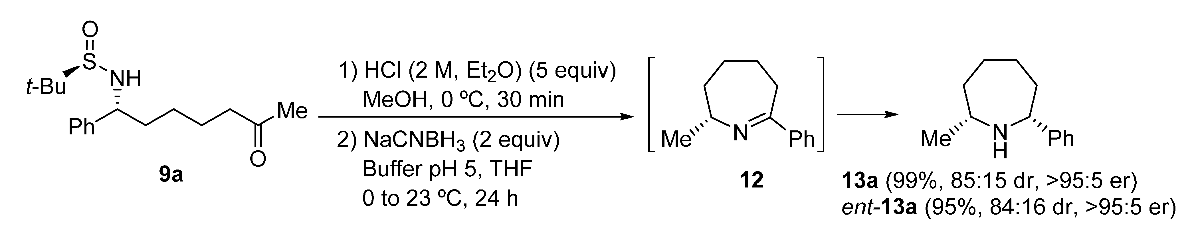 Molecules 26 06503 sch005