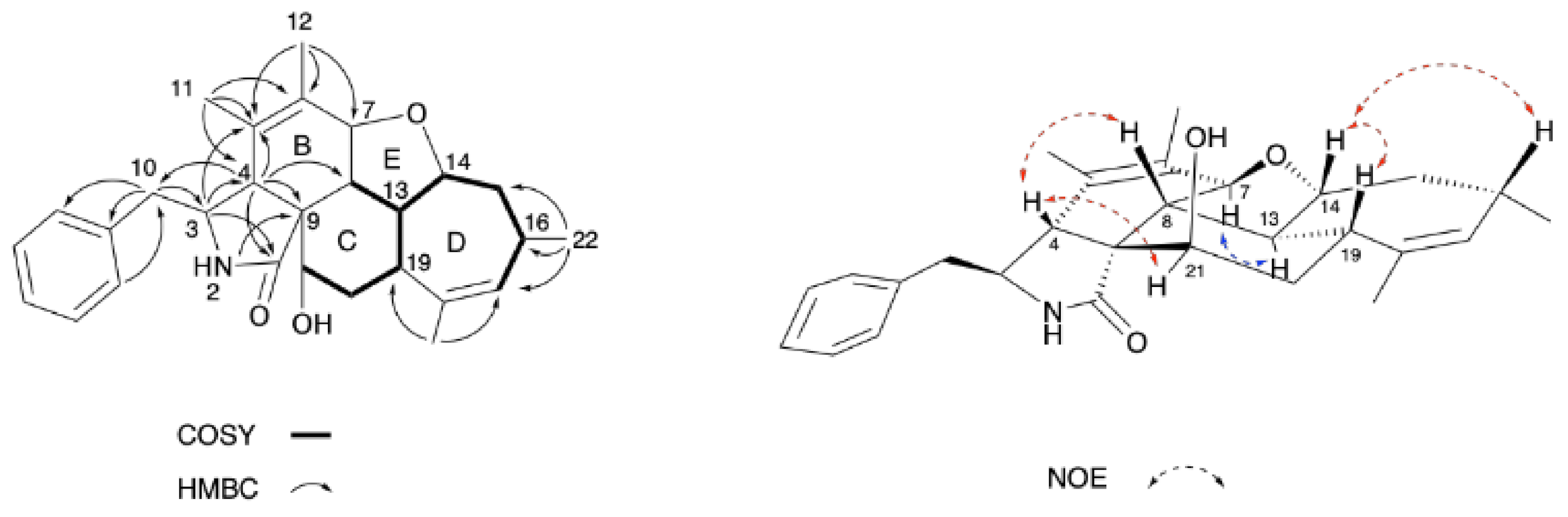 Molecules 26 06505 g002