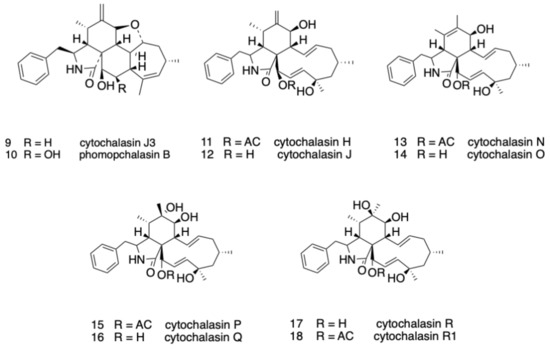 Molecules 26 06505 g003 550