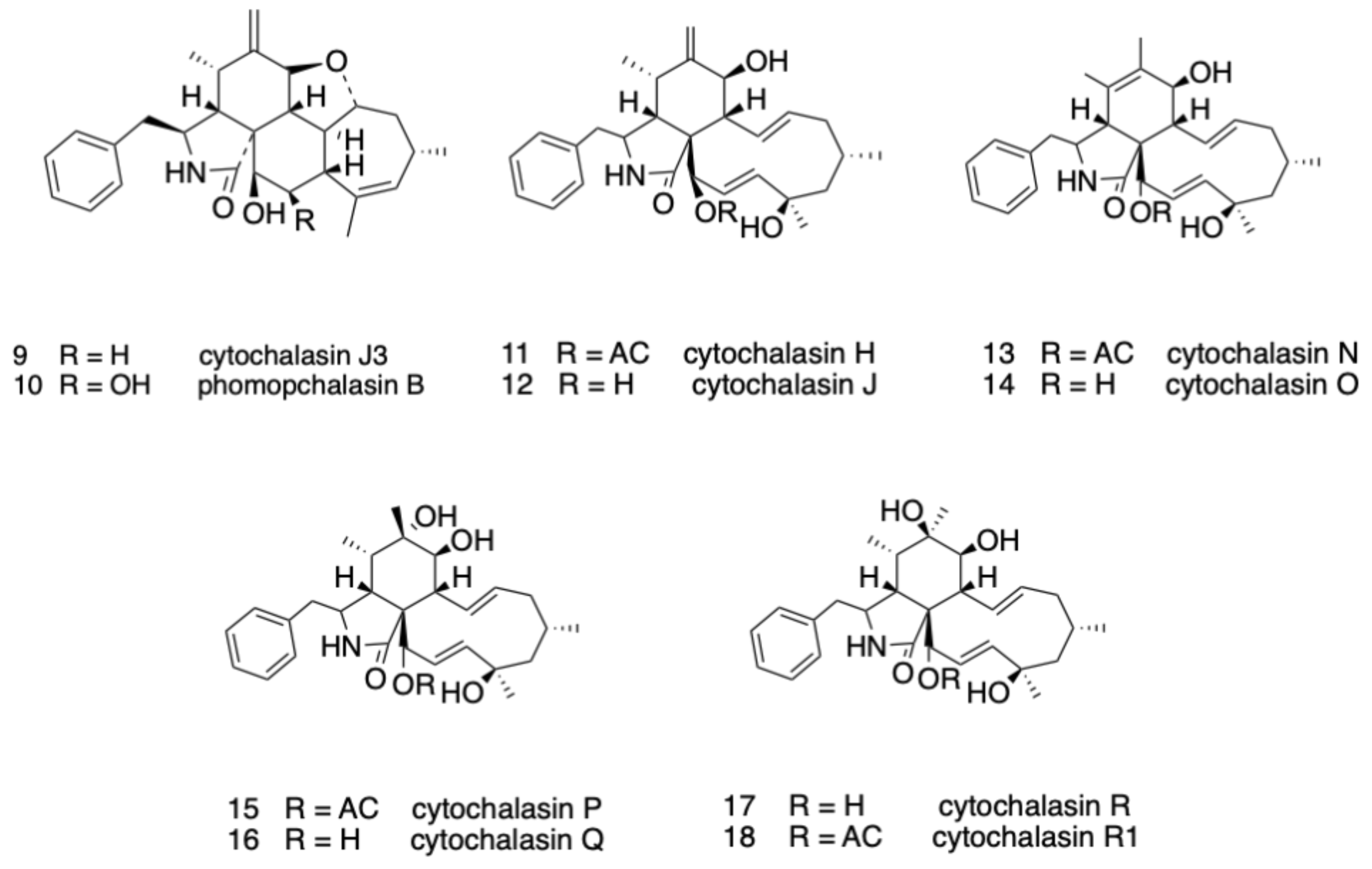 Molecules 26 06505 g003