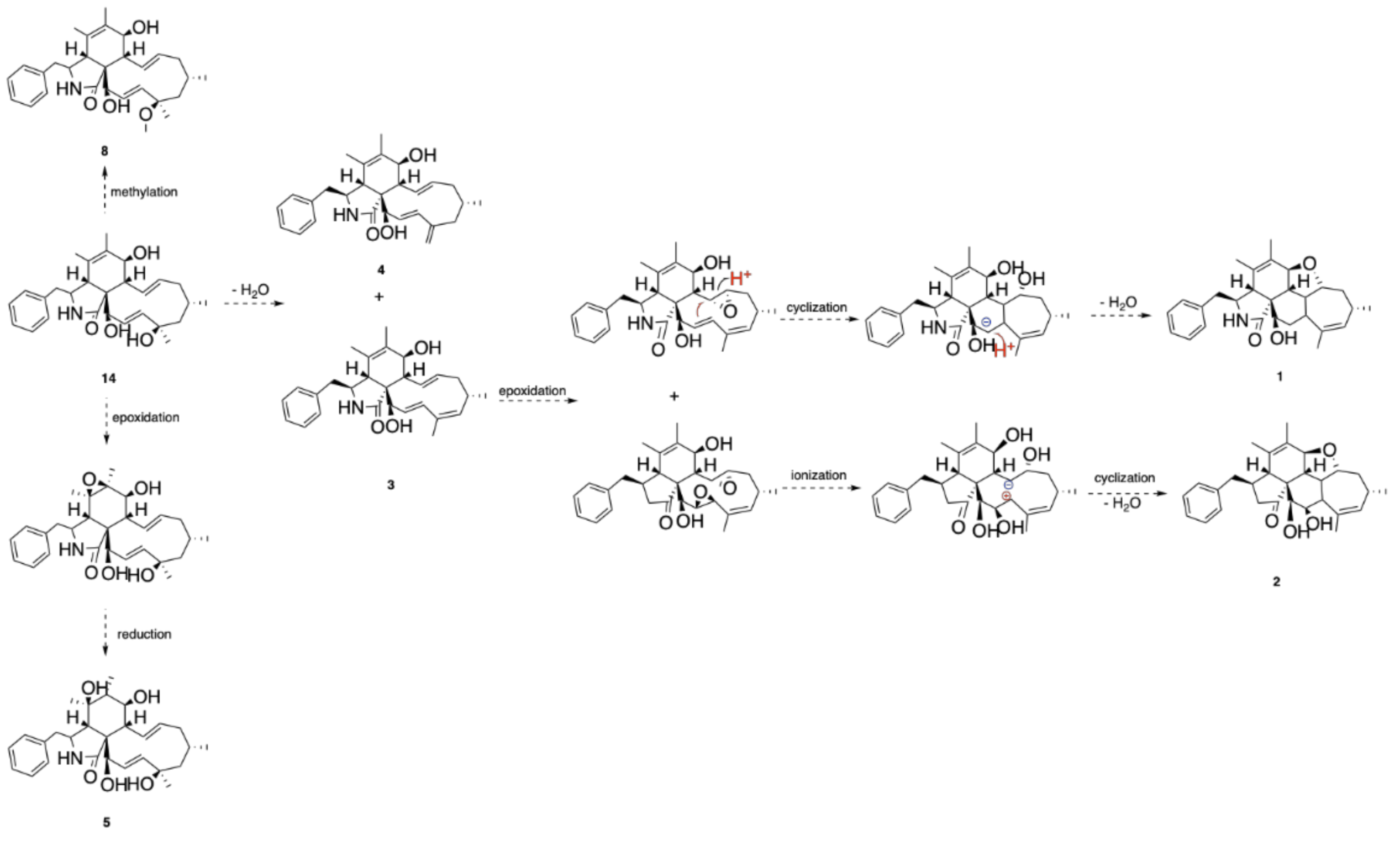 Molecules 26 06505 sch001