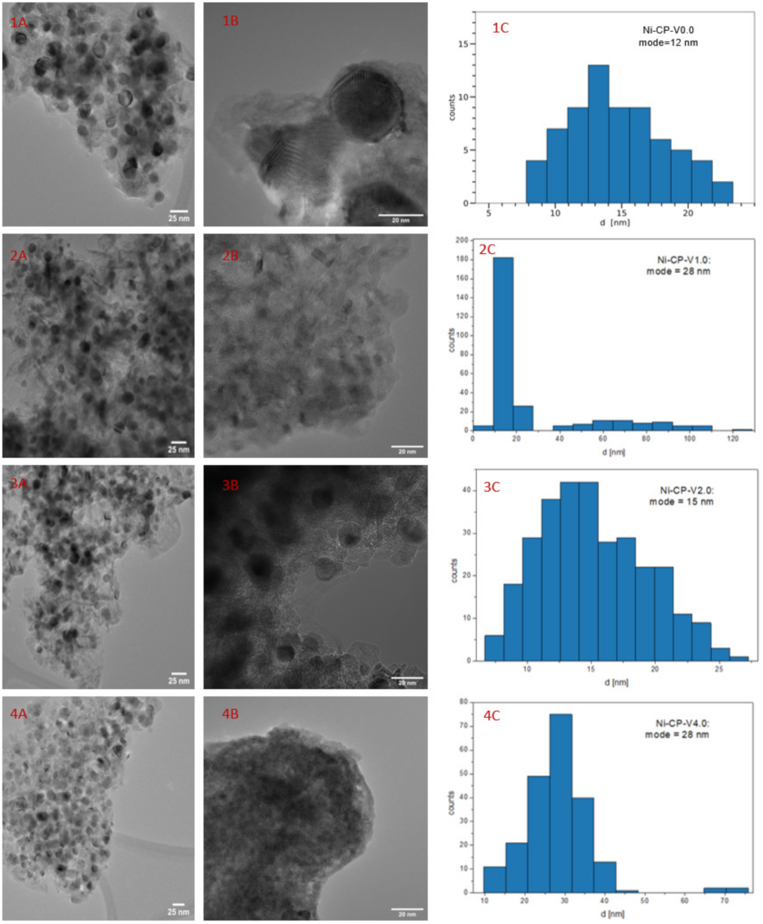 Molecules 26 06506 g006