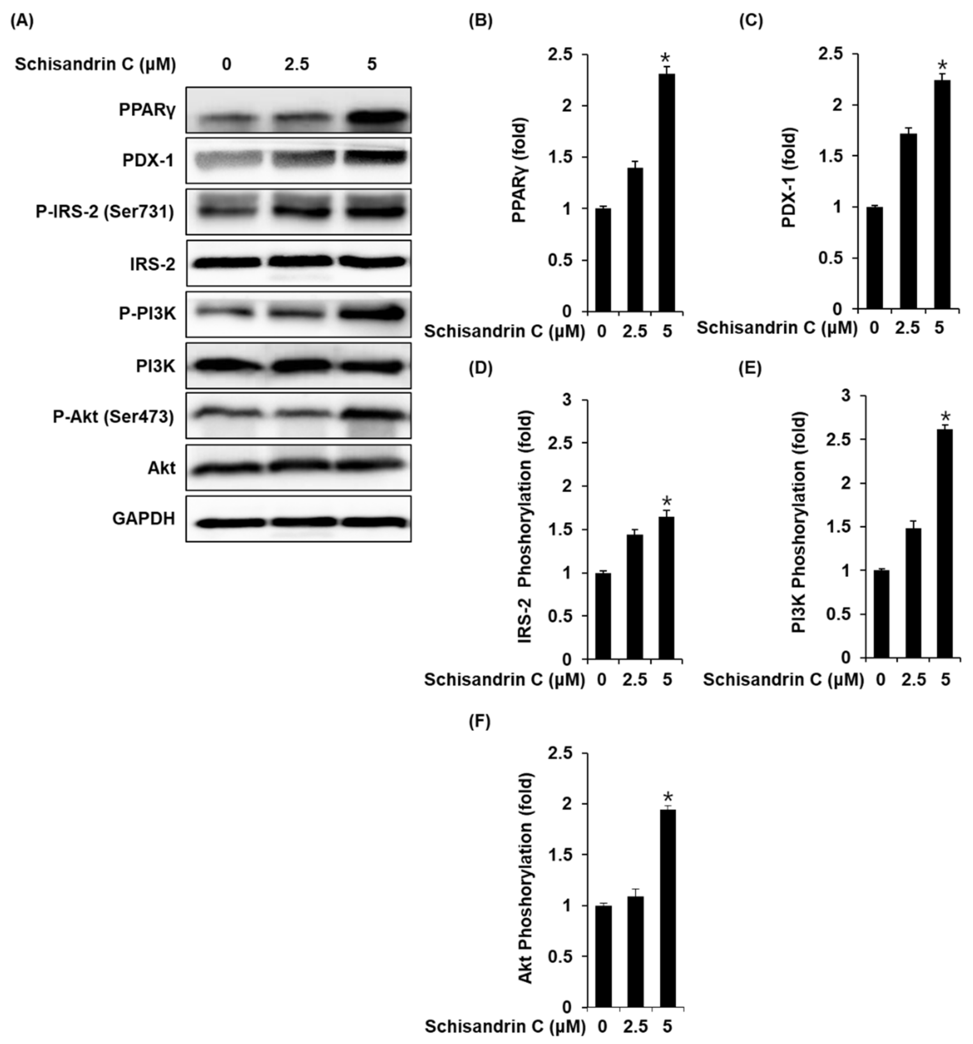 Molecules 26 06509 g003
