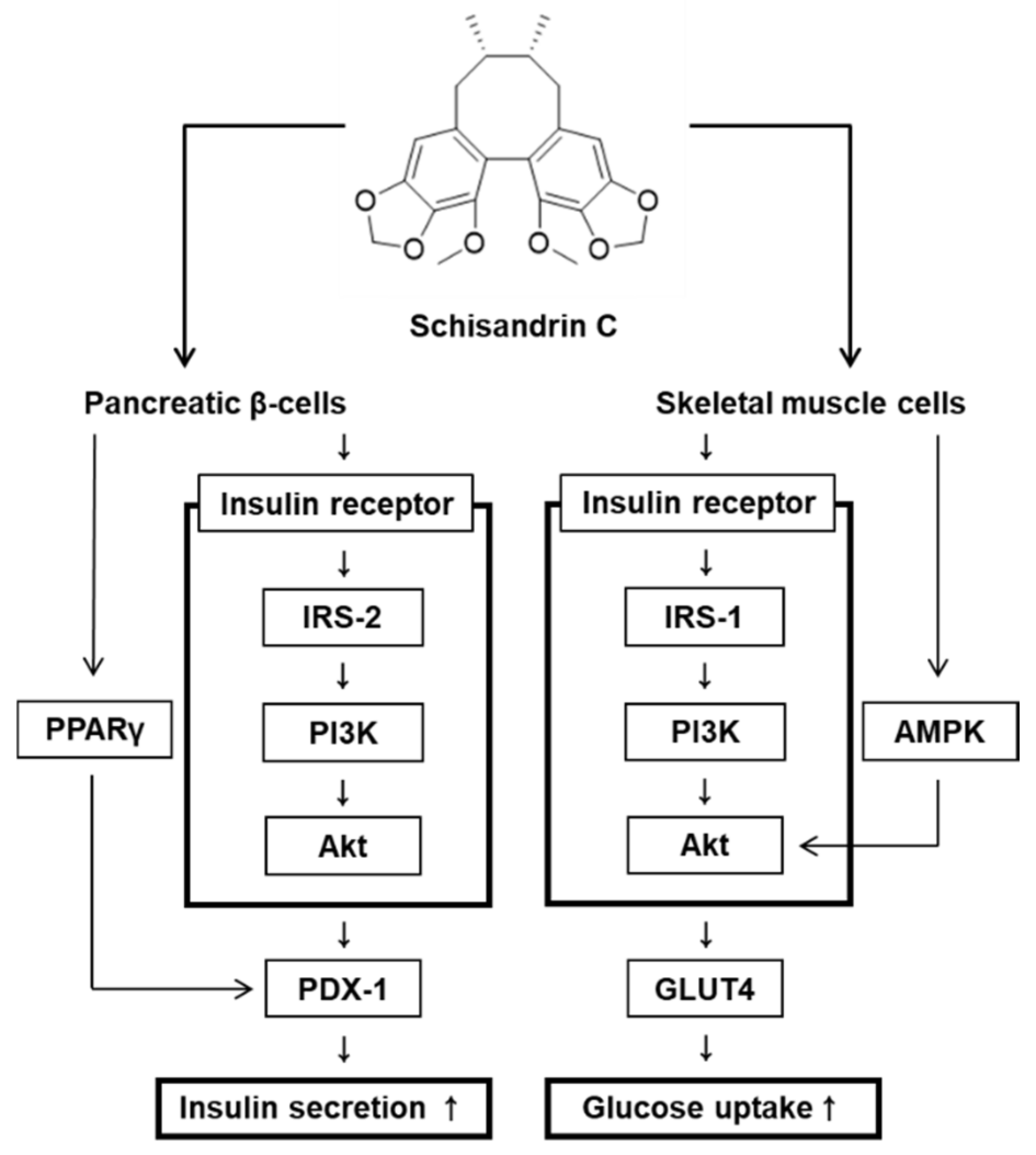 Molecules 26 06509 g006