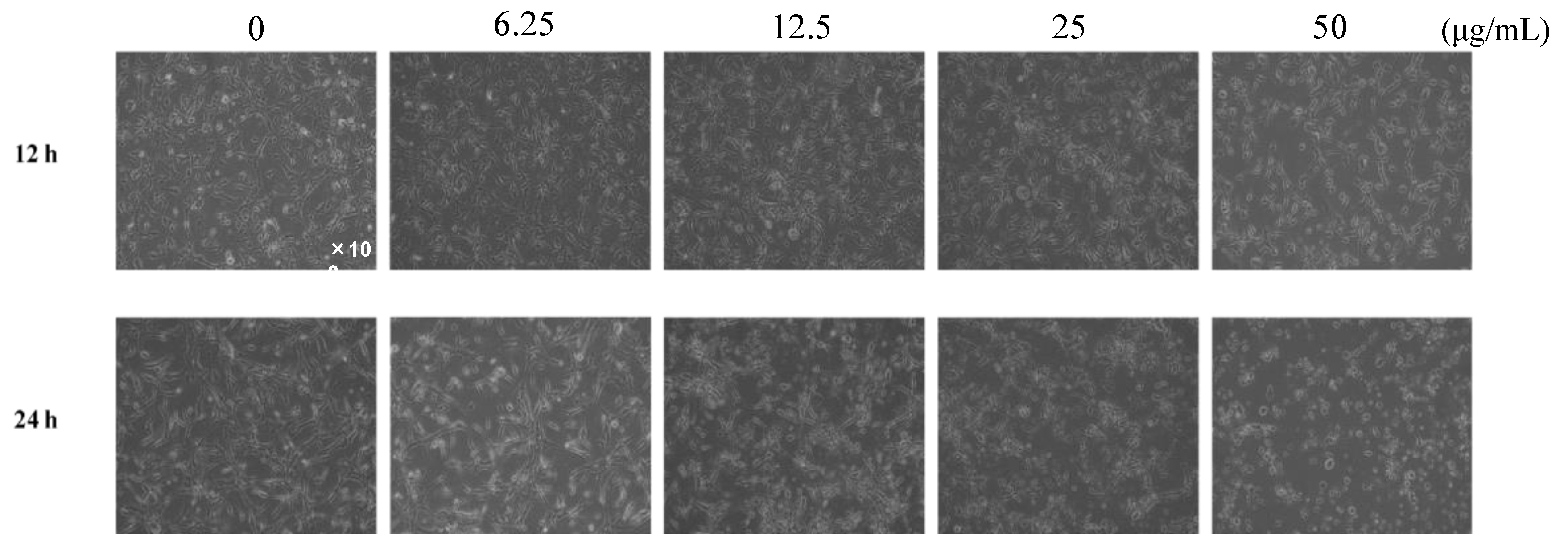 Molecules 26 06510 g002