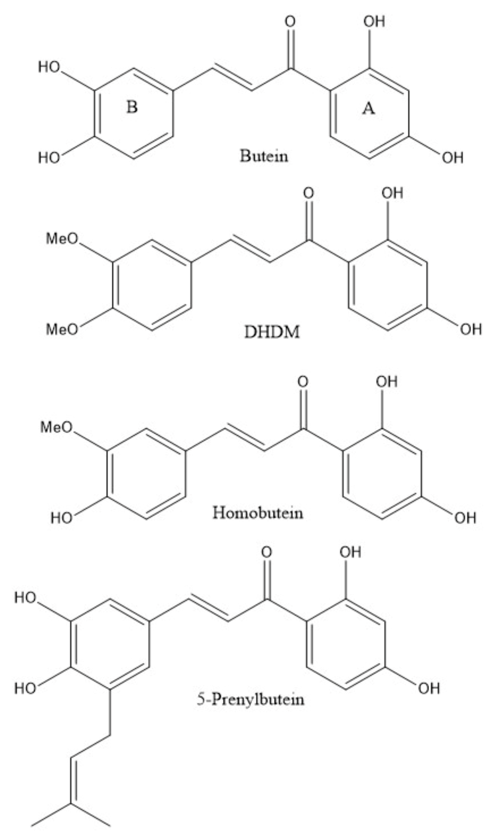 Molecules 26 06511 g001
